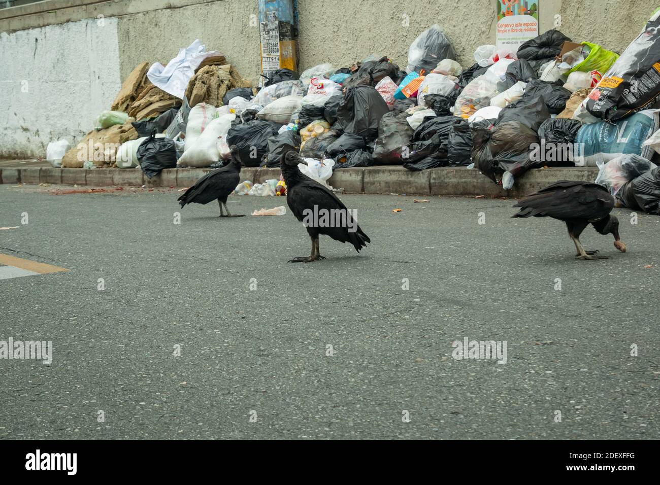 MEDELLIN, KOLUMBIEN - 18. Nov 2020: Medellin, Kolumbien - 17 2020. November: Müllsäcke, die an der Straßenecke angesammelt wurden, werden abgeholt und etwas Schwarz Stockfoto