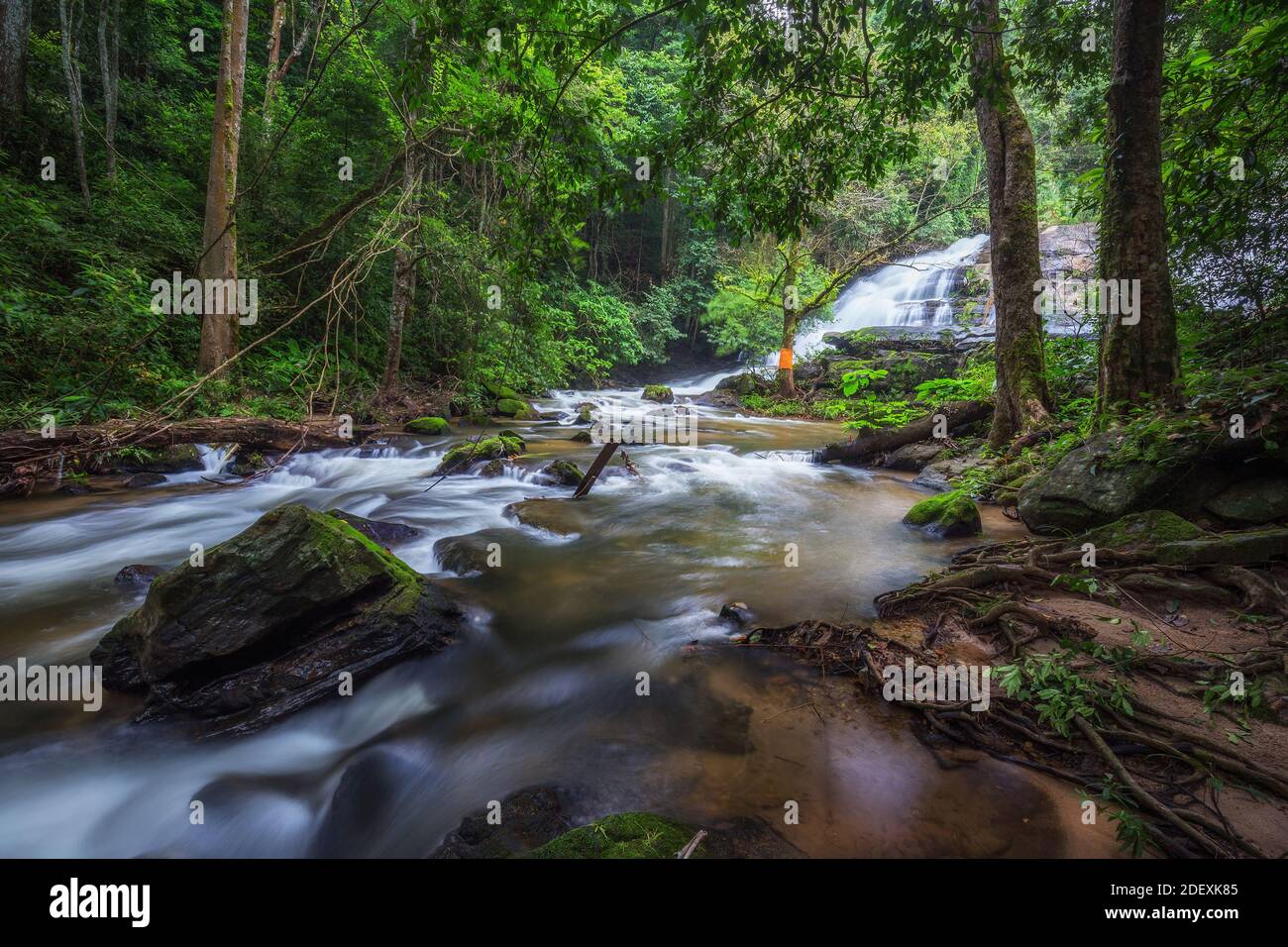 Viele natürliche grüne Steine in der Mitte der Wasser aus schönen Wasserfall erfrischend für Regenwald Ökotourismus Stockfoto