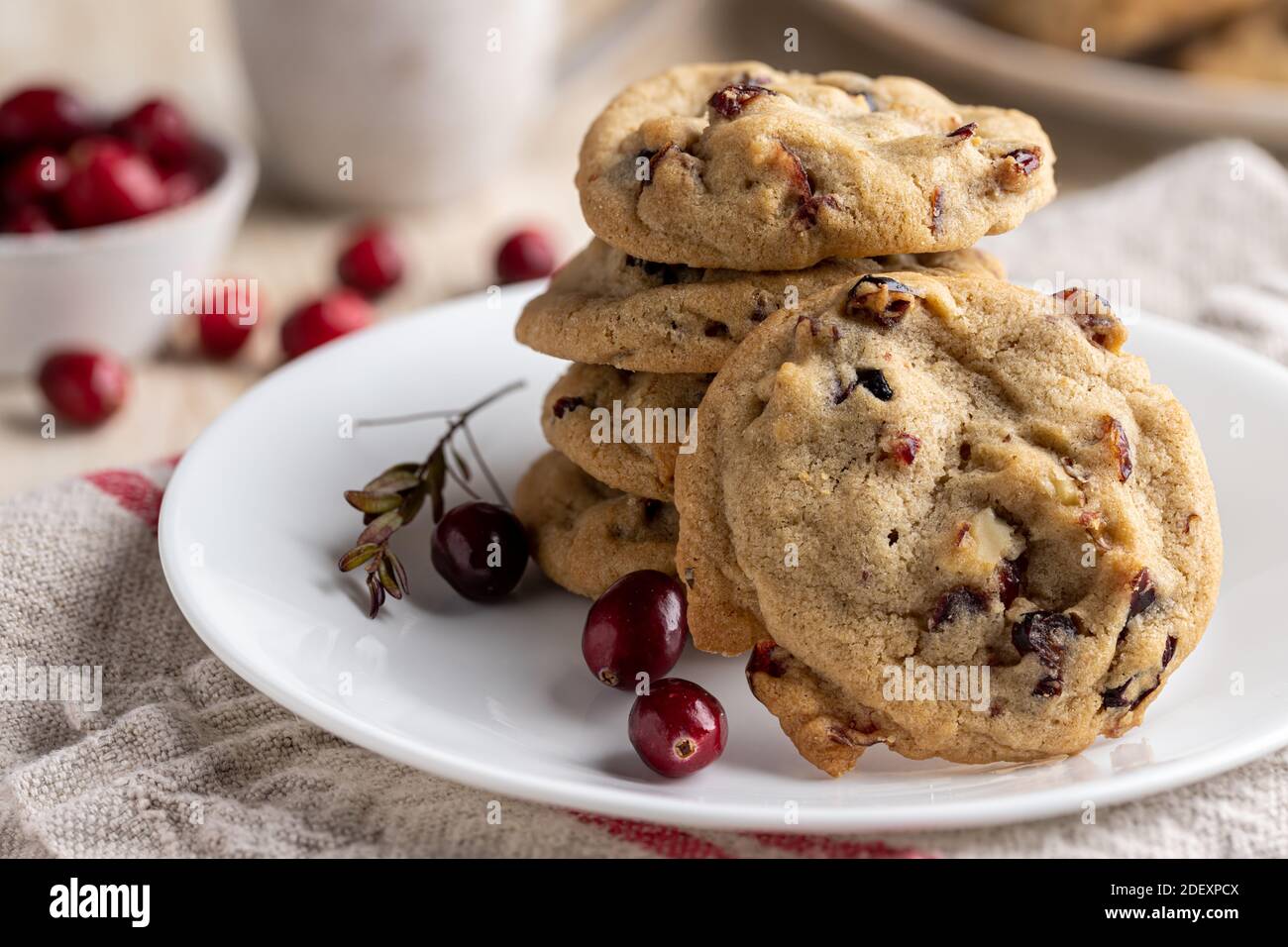 Stapel Cranberry Walnuss Cookies auf einem Teller mit Schüssel Von Preiselbeeren im Hintergrund Stockfoto