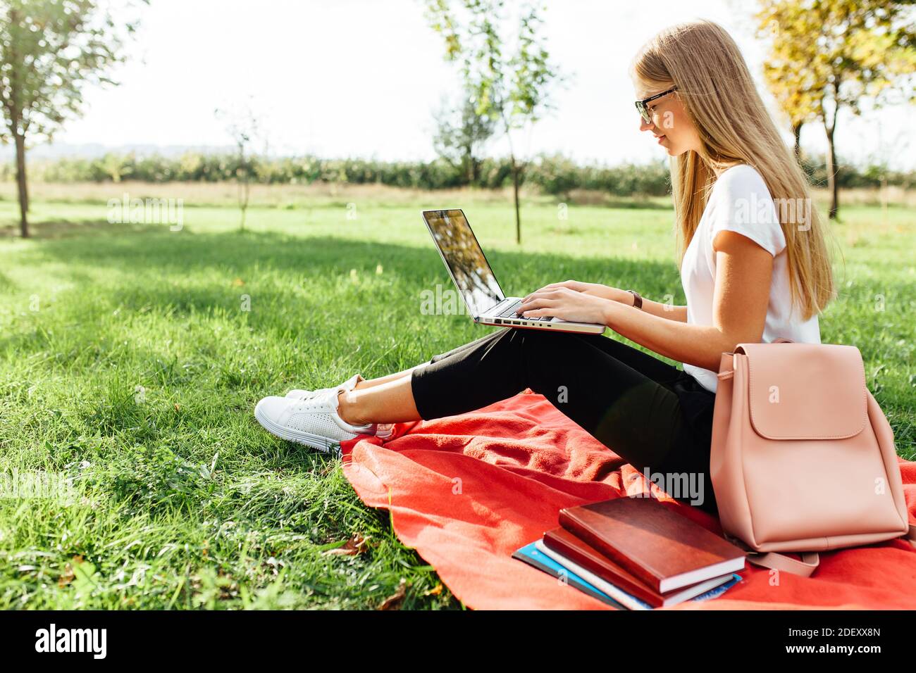 Das Bild einer schönen Studentin mit Brille, die auf einem Laptop arbeitet, auf einer roten Decke im Park sitzt und Hausaufgaben macht Stockfoto