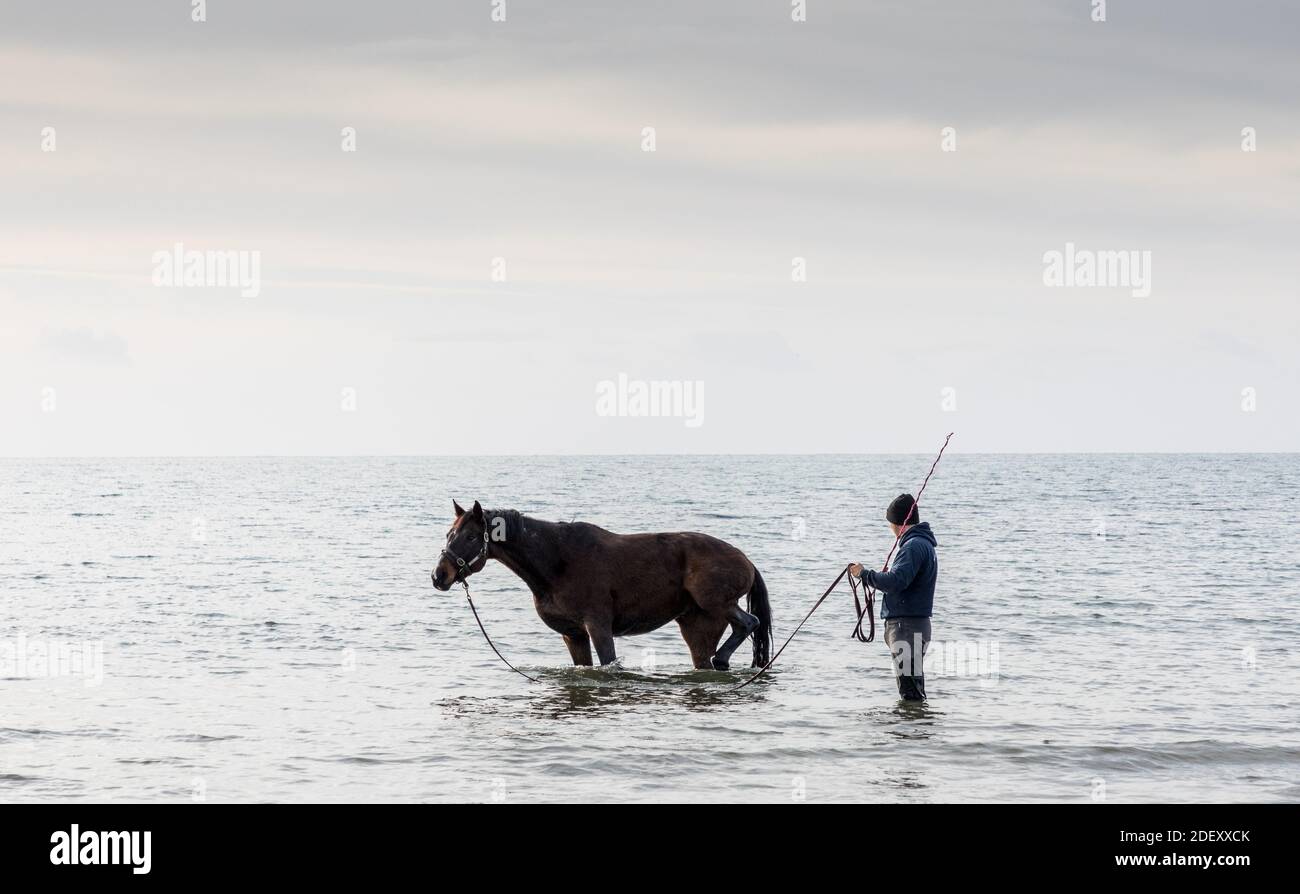 Garrettstown, Cork, Irland. Dezember 2020. Wayne Santry mit seinem 10-jährigen Event-Pferd 'Jack', der in Garrettstown, Co. Cork, Irland, eine Salzwasserbehandlung für einen Beinschnitt hat. - Credit; David Creedon / Alamy Live News Stockfoto