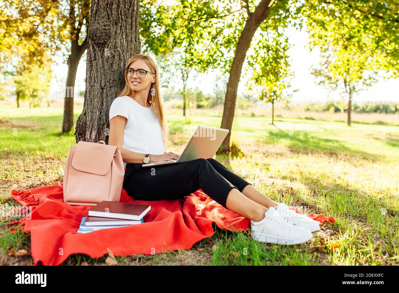 Das Bild einer schönen Studentin mit Brille, die am Laptop arbeitet, auf einer roten Decke im Park in der Nähe des Baumes sitzt und Hausaufgaben macht Stockfoto