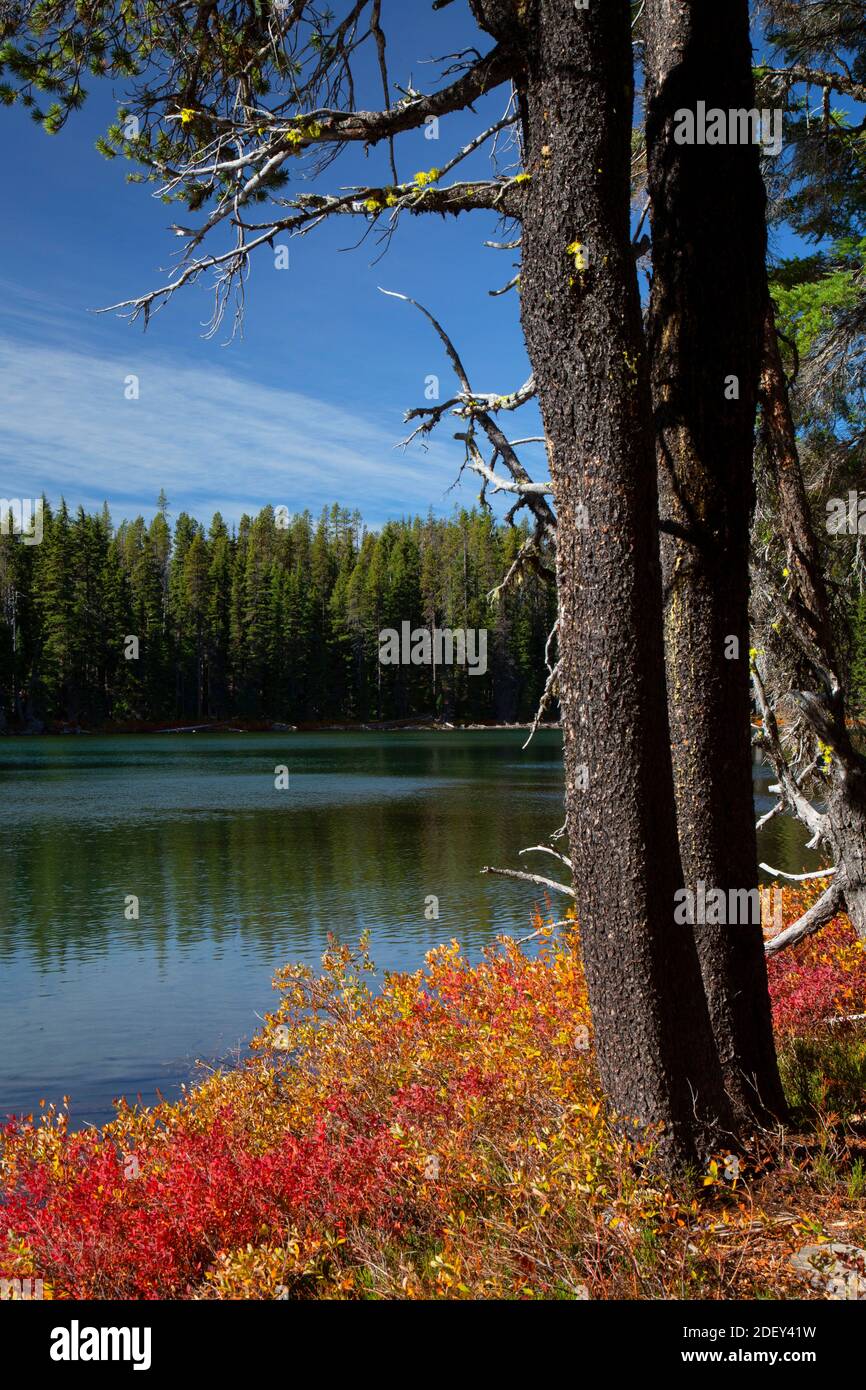 Heavenly Twin Lakes, Sky Lakes Wilderness, Winema National Forest, Oregon Stockfoto