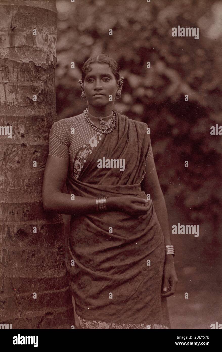 Ceylonese Frau c. 1880er (Indien) Scowen & Co. Oder Skeen & Co Stockfoto