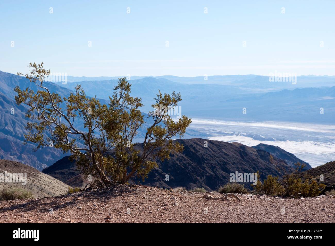 Blick von Dante's View, mit Blick auf Death Valley, Kalifornien. Stockfoto