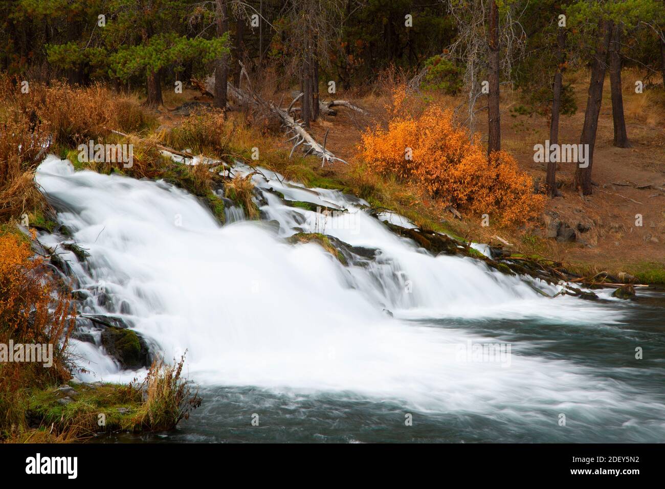 Fall Creek Falls, La Pine State Park, Oregon Stockfoto