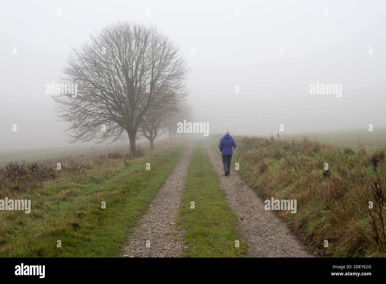 Walker entlang der Strecke mit nackten Bäumen im Nebel, East Garston, Berkshire, Großbritannien Stockfoto