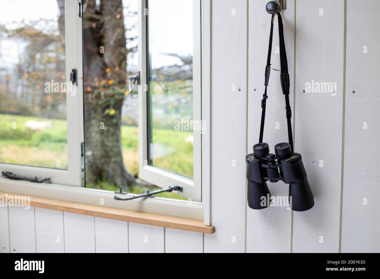 Fernglas am bereit neben einem offenen Fenster, Devon, England, Großbritannien Stockfoto