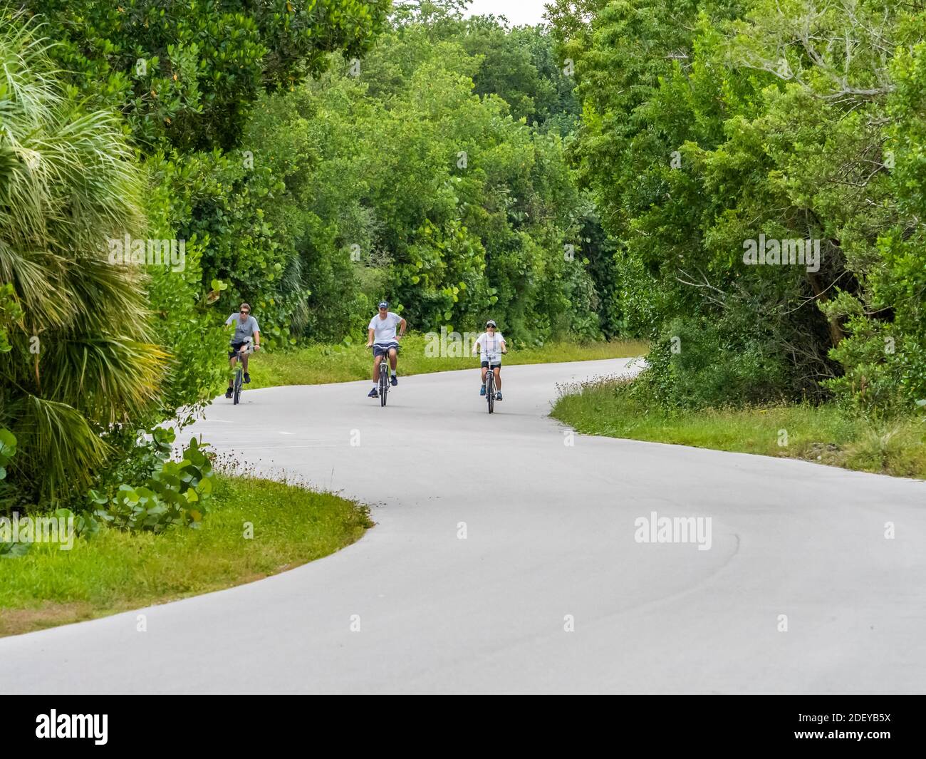 Menschen, die Fahrräder in J.N. Ding Darling National Wildlife Refuge auf Sanibel Island in Florida in den Vereinigten Staaten Stockfoto
