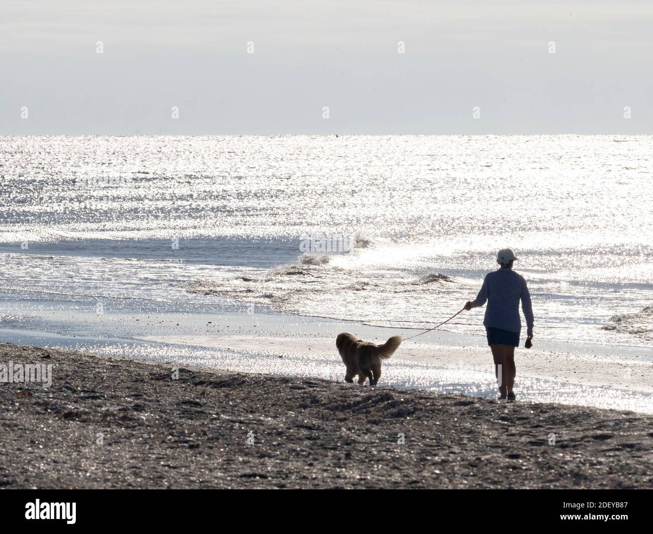 Mann, der am Strand des Golfs von Mexiko auf Sanibel spazieren geht Insel Florida in den Vereinigten Staaten Stockfoto