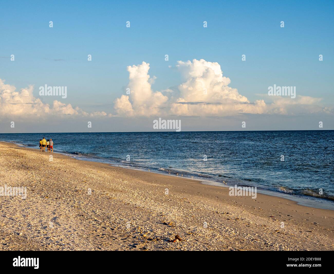 Menschen, die am Strand des Golfs von Mexiko auf Sanibel Island spazieren gehen Florida in den Vereinigten Staaten Stockfoto