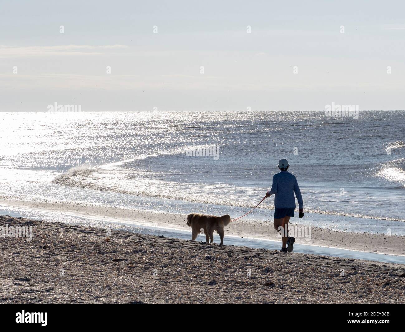 Mann, der am Strand des Golfs von Mexiko auf Sanibel spazieren geht Insel Florida in den Vereinigten Staaten Stockfoto