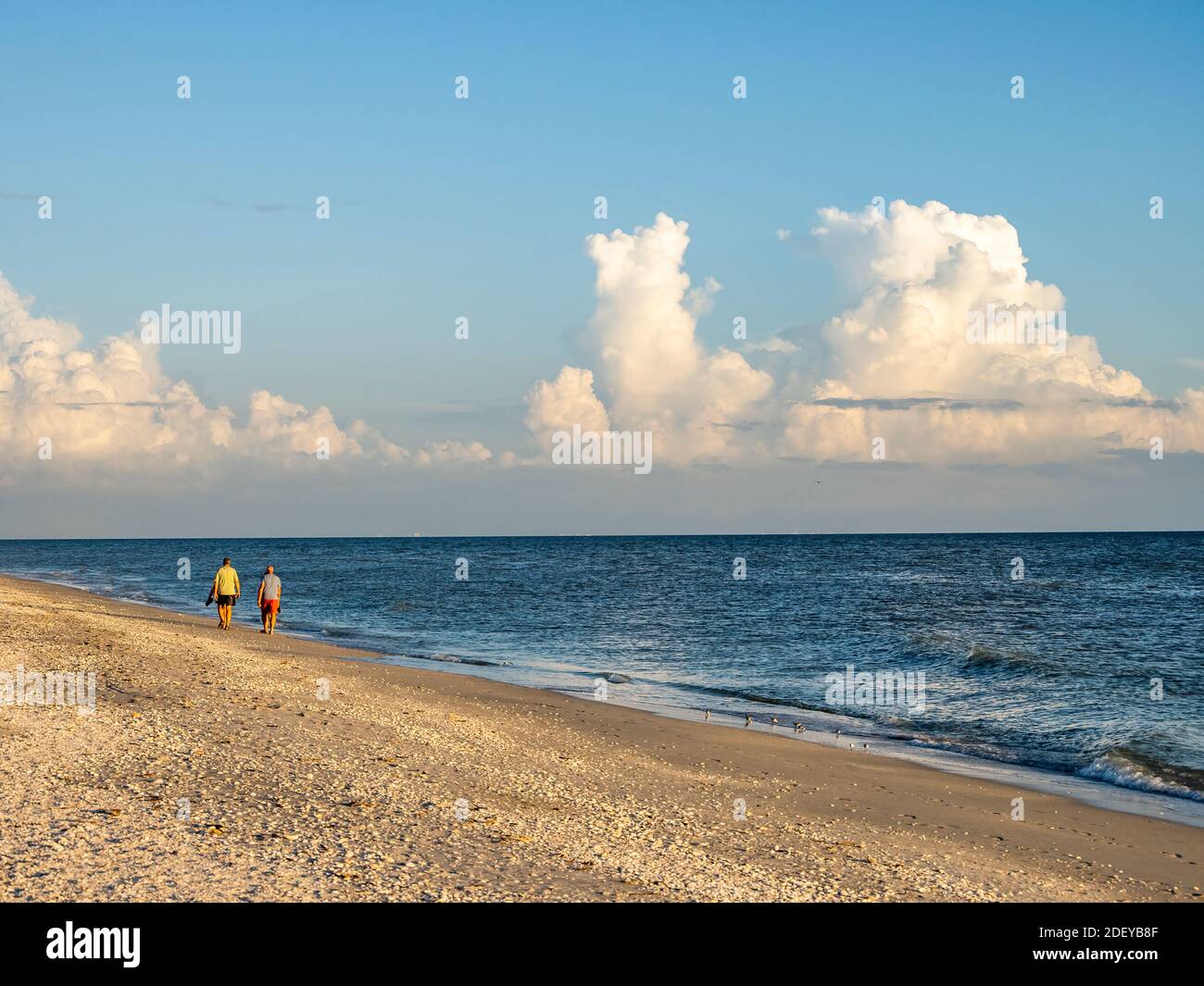 Menschen, die am Strand des Golfs von Mexiko auf Sanibel Island spazieren gehen Florida in den Vereinigten Staaten Stockfoto