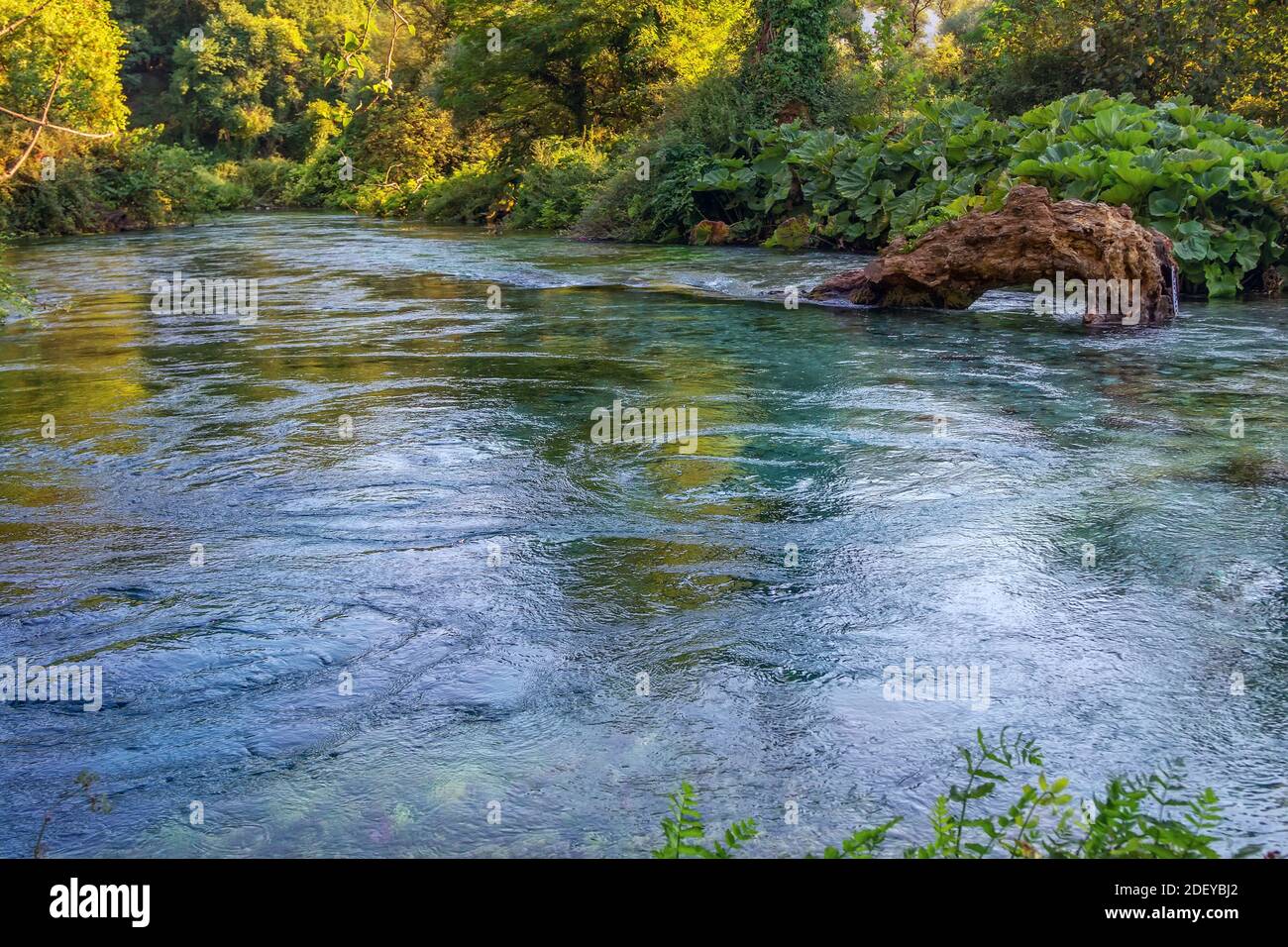 Sommerlandschaft – Karstquelle – Flussquelle im Wald, klares Wasser und üppiges Laub. Naturdenkmal – Blaues Auge – in Albanien. Stockfoto