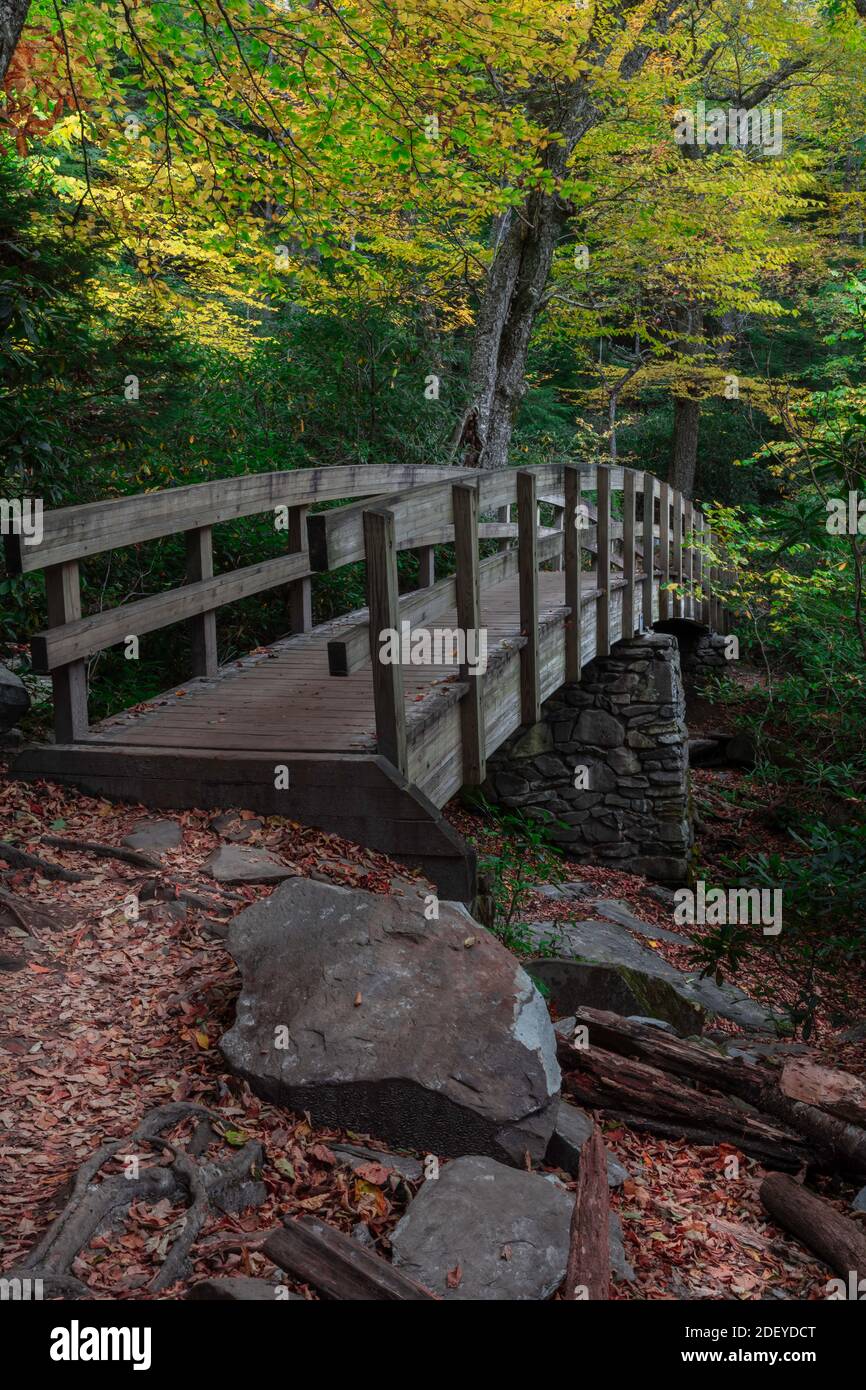 Trail Bridge über einen kleinen Bach auf dem Blue Ridge Parkway in North Carolina Stockfoto