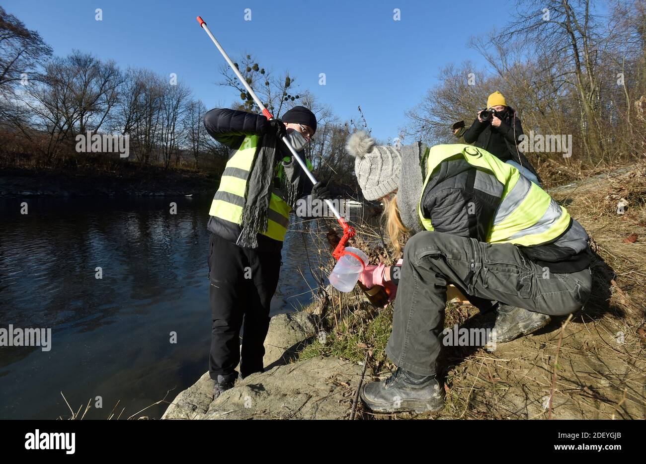 Im Becva-Fluss ist wieder eine unbekannte Substanz durchgesickert, durch die in Valasske Mezirici, Tschechien, am 2. Dezember 2020 einige Fische umkamen. CIZP-Inspektoren gehen nun zum Ort der Verschüttung, die auch von den Feuerwehrleuten bestätigt wurde. Der Polizei- und Umweltminister Richard Brabec (ANO) sagte, dass vor dem Abfluss aus der Tesla-Fabrik ein früherer Unfall verursacht wurde, bei dem am 20. September Cyanid in den Fluss floss.der beispiellose Umweltunfall hatte den Becva-Fluss heimgesucht und auf seiner 40 km langen Strecke das ganze Leben getötet Abschnitt. Über 40 Tonnen toter Fisch hatten Stockfoto