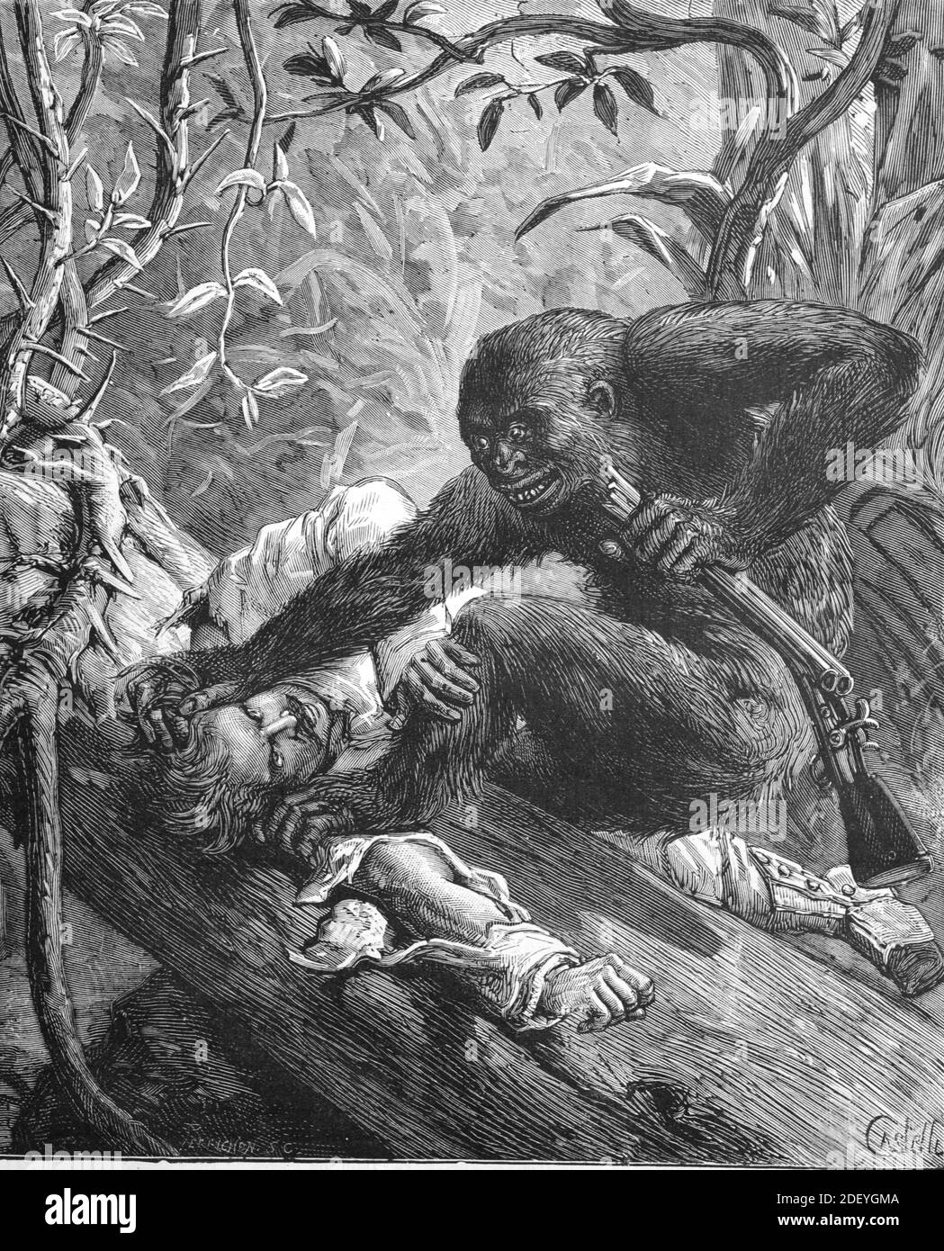 Gorilla greift Gewehr oder Gewehr von Big Game Hunter im Kongo Regenwald Afrika (engr. Castelli 1884) Vintage Illustration oder Gravur Stockfoto