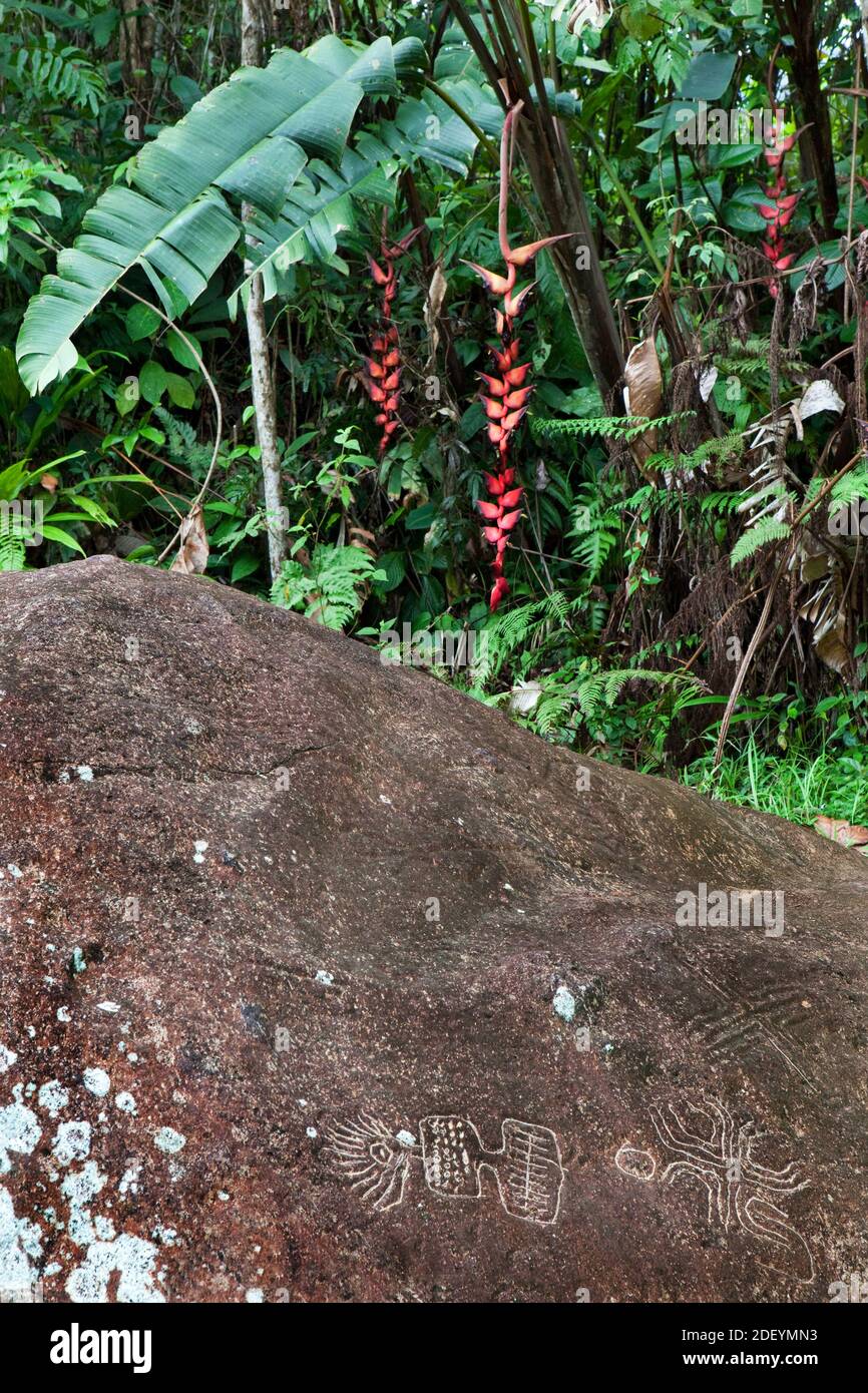 Einheimische Steinschnitzereien im Dschungel Stockfoto