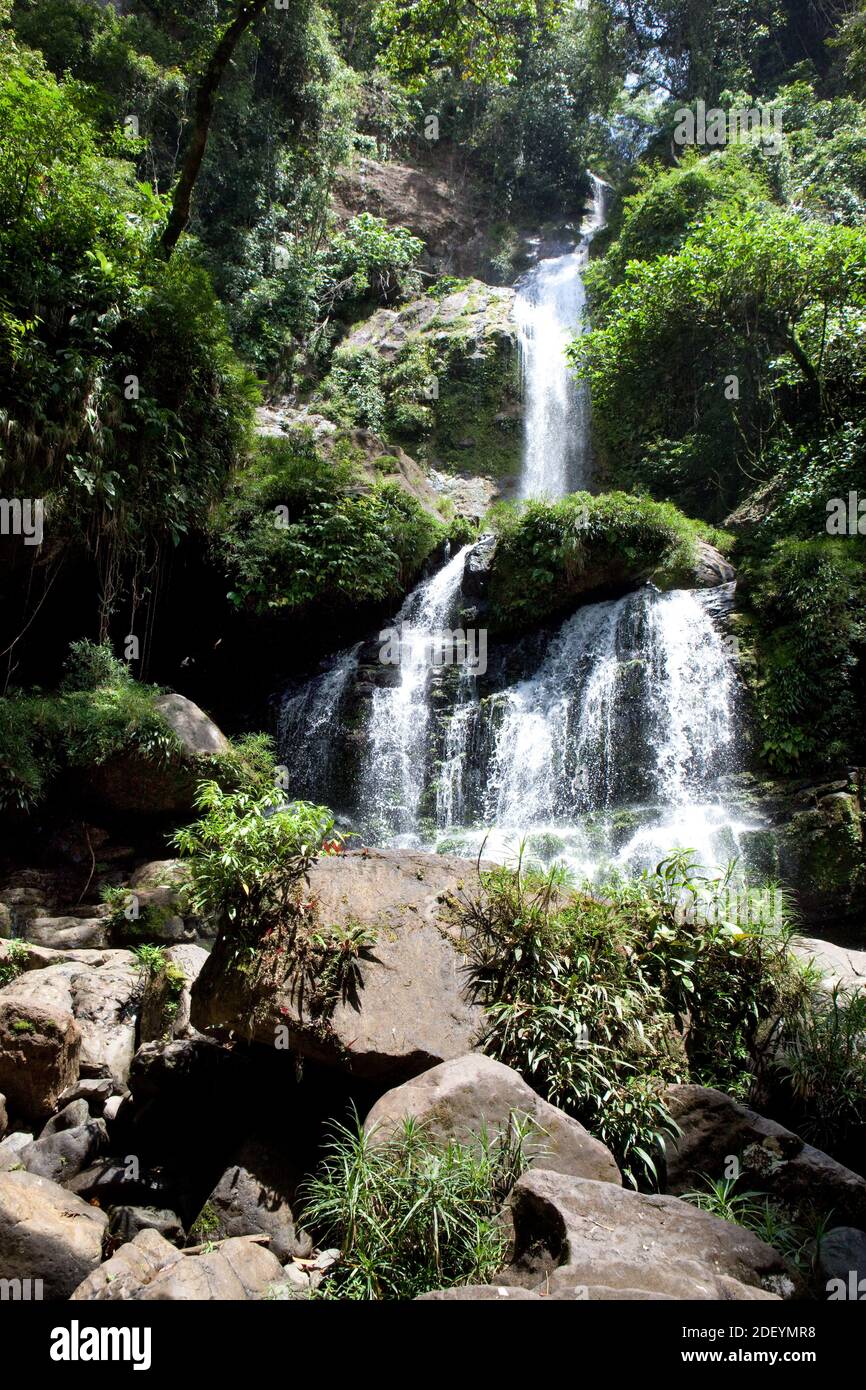 Wasserfall im tropischen Regenwald Stockfoto
