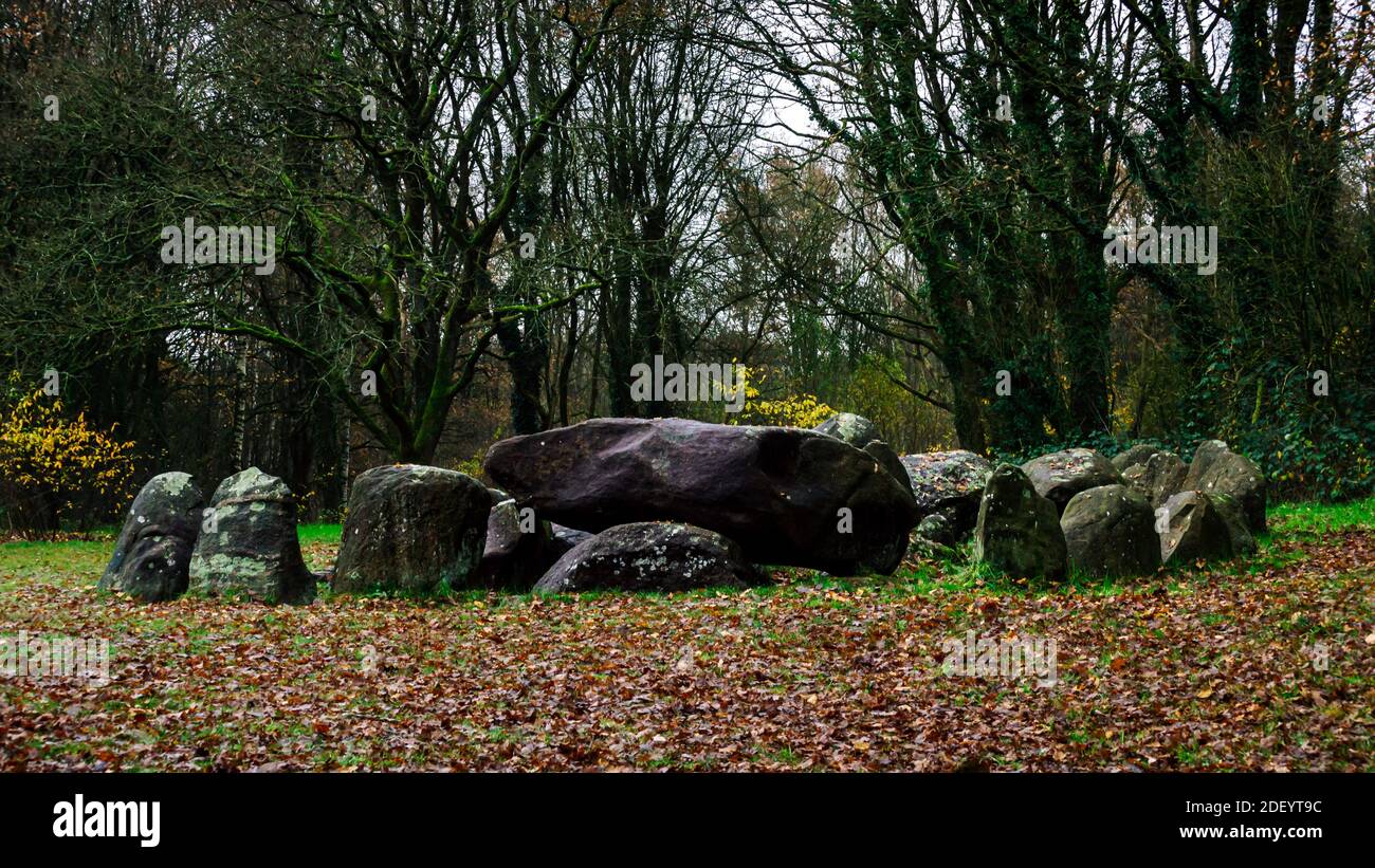 Aufnahme eines prähistorischen Steinkreises mit im Hintergrund Bäume bedeckt mit Moos und Efeu in der Nähe des Dorfes Borger an einem bewölkten Wintertag Stockfoto