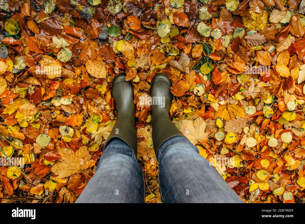 Gummistiefel frau garten Fotos und Bildmaterial in hoher Auflösung