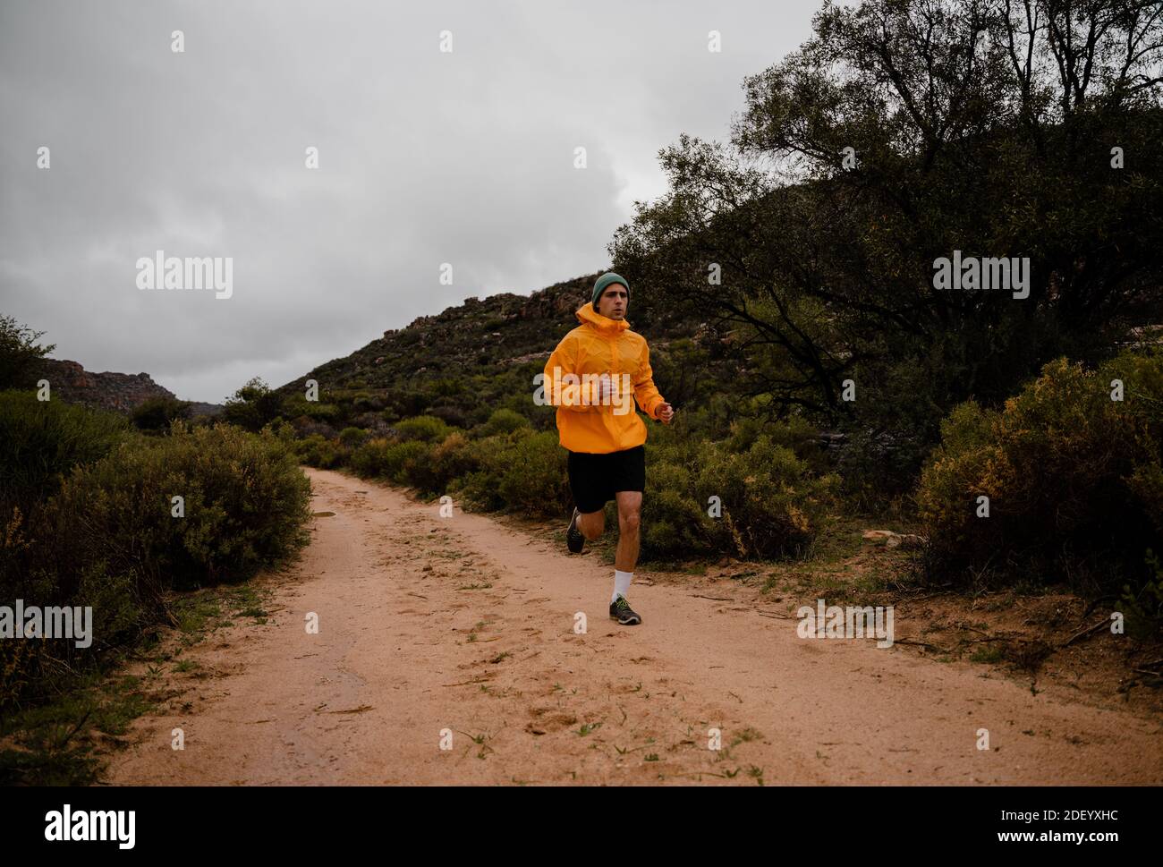 Starker junger Athlet, der einen steilen Langstreckenlauf absolviert Schotterbergweg mit Büschen und Bäumen bei bewölktem Wetter Stockfoto