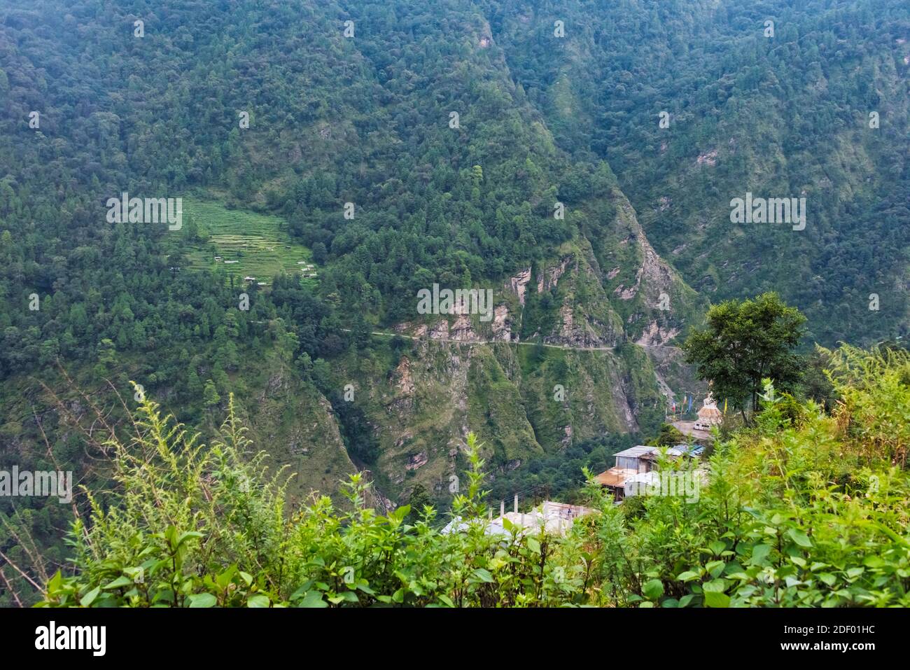 Dorf im üppigen Tal im südlichen Himalaya, Rasuwa District, Provinz 3, Nepal Stockfoto