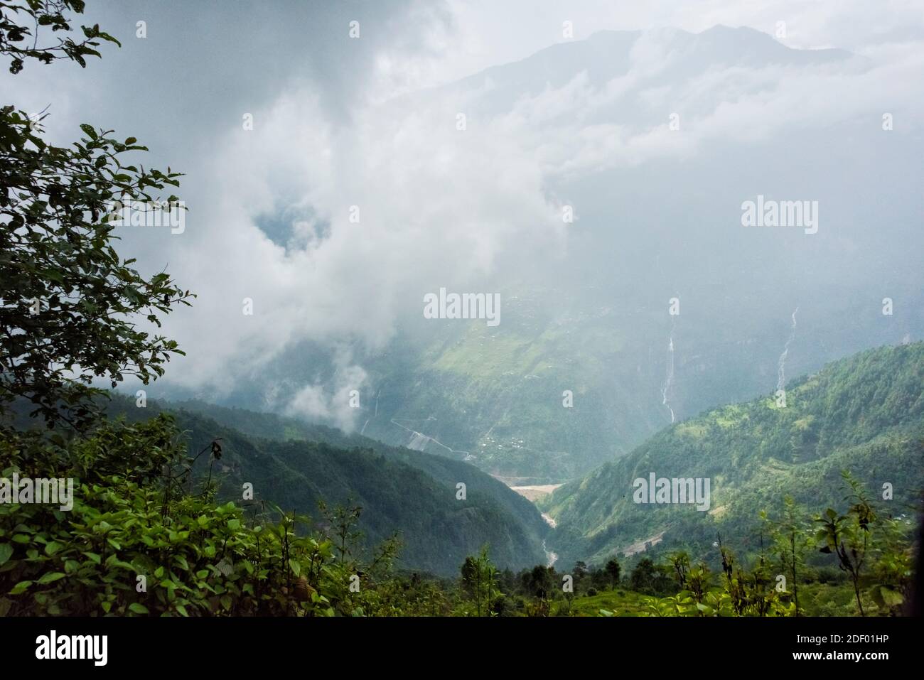 Üppiges Tal im südlichen Himalaya, Rasuwa District, Provinz 3, Nepal Stockfoto