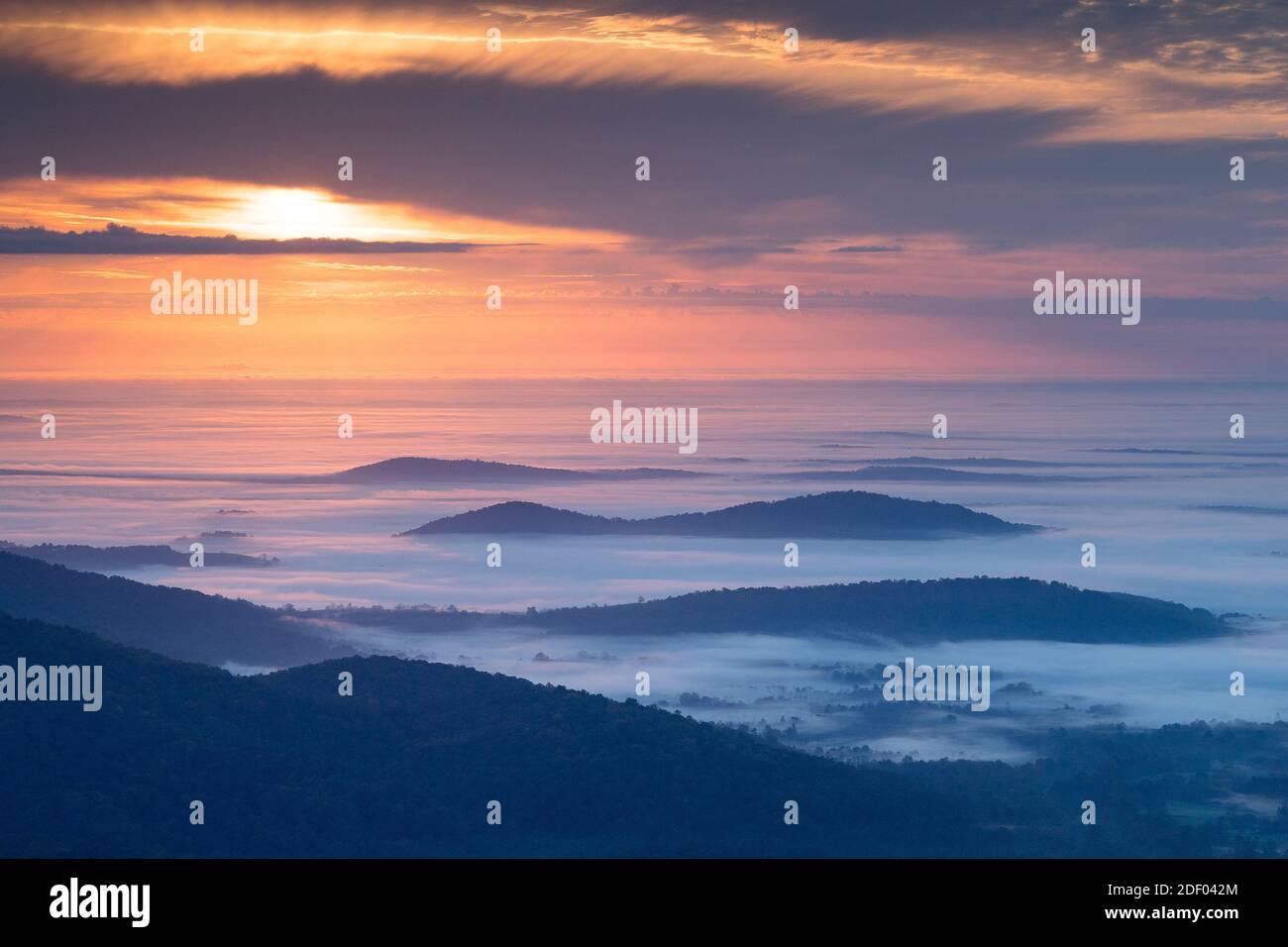 Herbstlicher Morgennebel umgibt die Shenandoah Mountains in den Blue Ridge Mountains von Virginia. Stockfoto