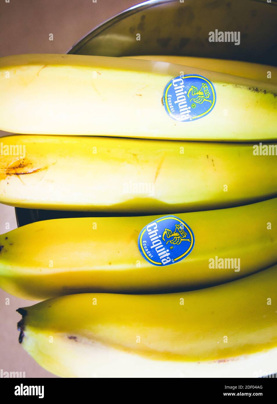 POZNAN, POLEN - 09. März 2014: Nahaufnahme von reifen Chiquita-Bananen mit Logo-Aufkleber Stockfoto