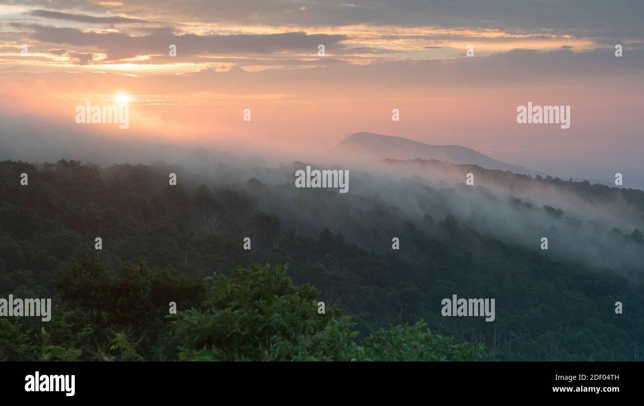 Der Sonnenaufgang brennt früh morgens Nebel in den Blue Ridge Mountains, Shenandoah National Park, Virginia. Stockfoto