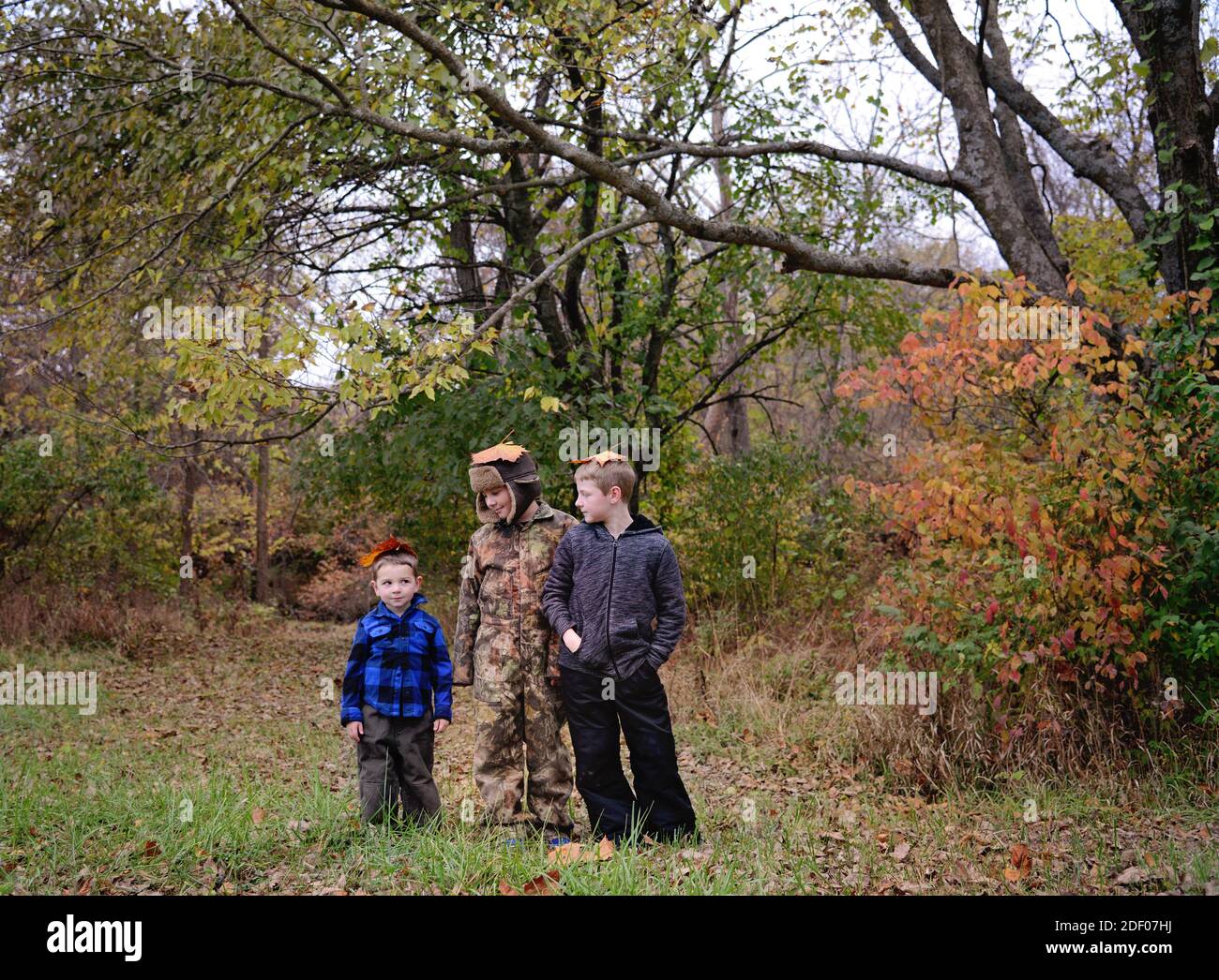 Drei junge Brüder im Herbst Stockfoto