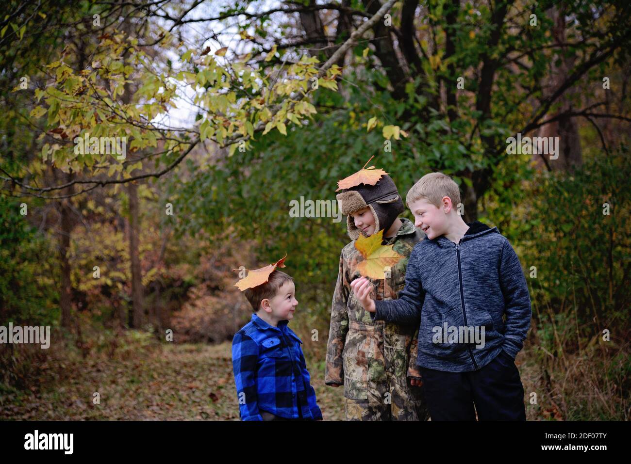 Drei junge Brüder im Herbst Stockfoto