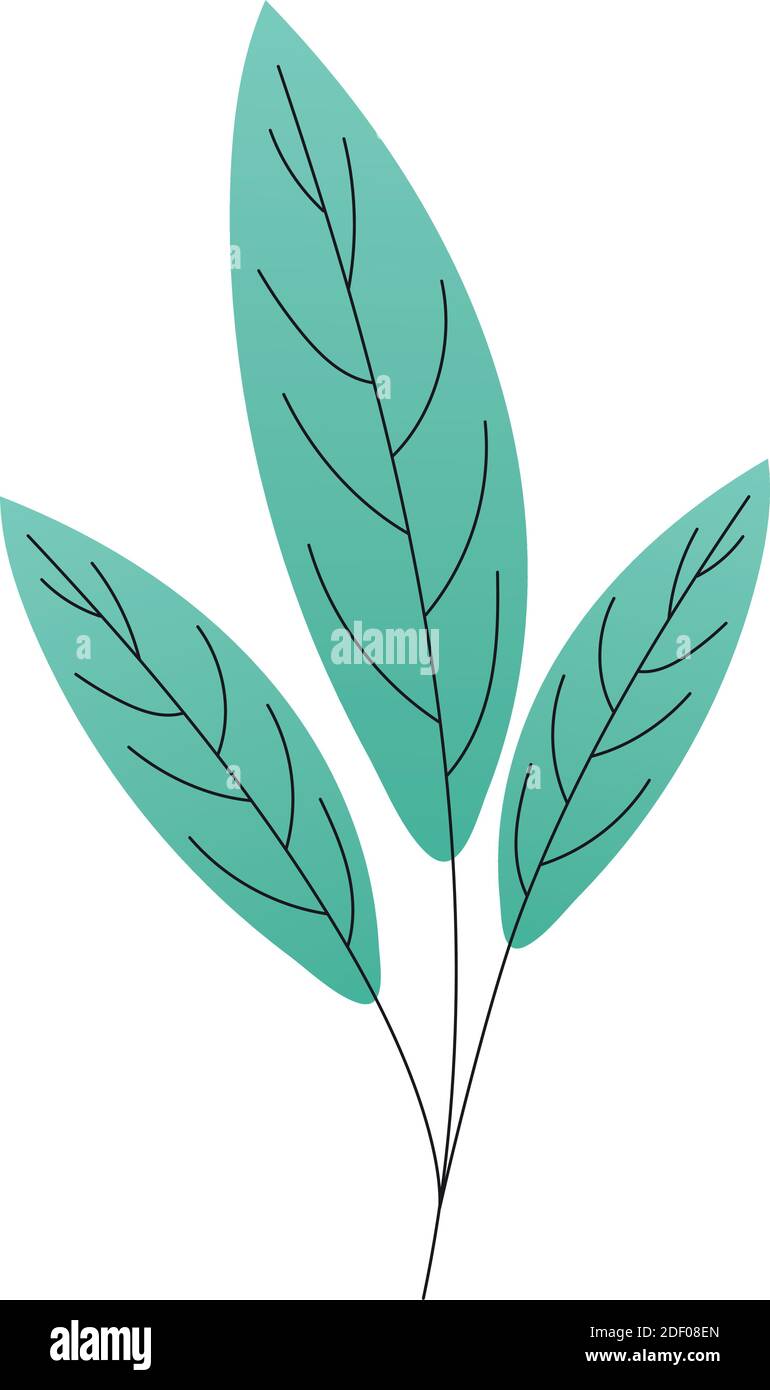 Blätter einer grünen Farbe Stock Vektor