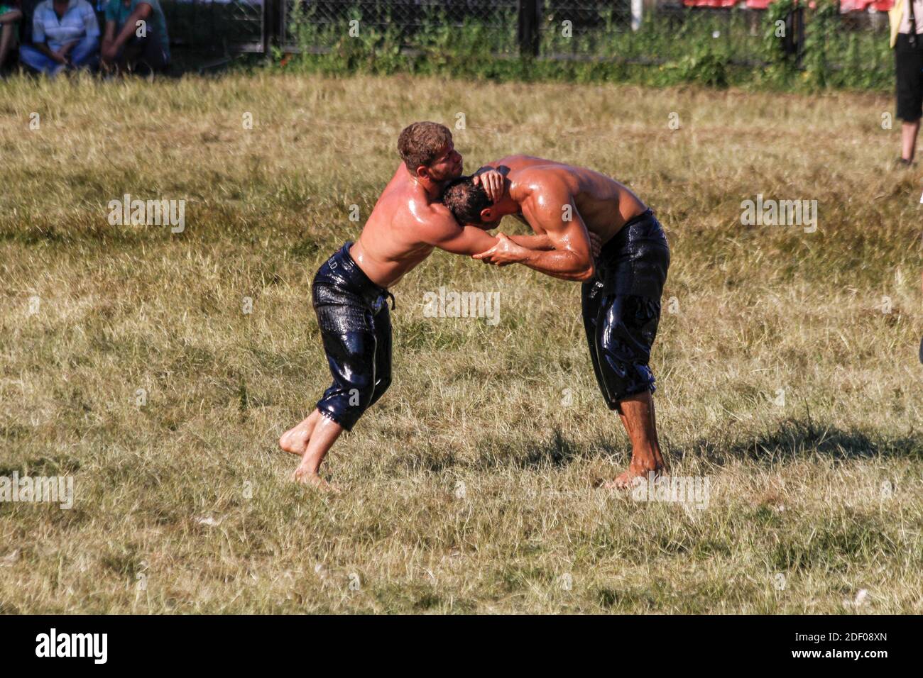 Wrestler, die in der traditionellen Kırkpınar Öl Wrestling statt ringen Jedes Jahr in der Türkei Edirne Stockfoto