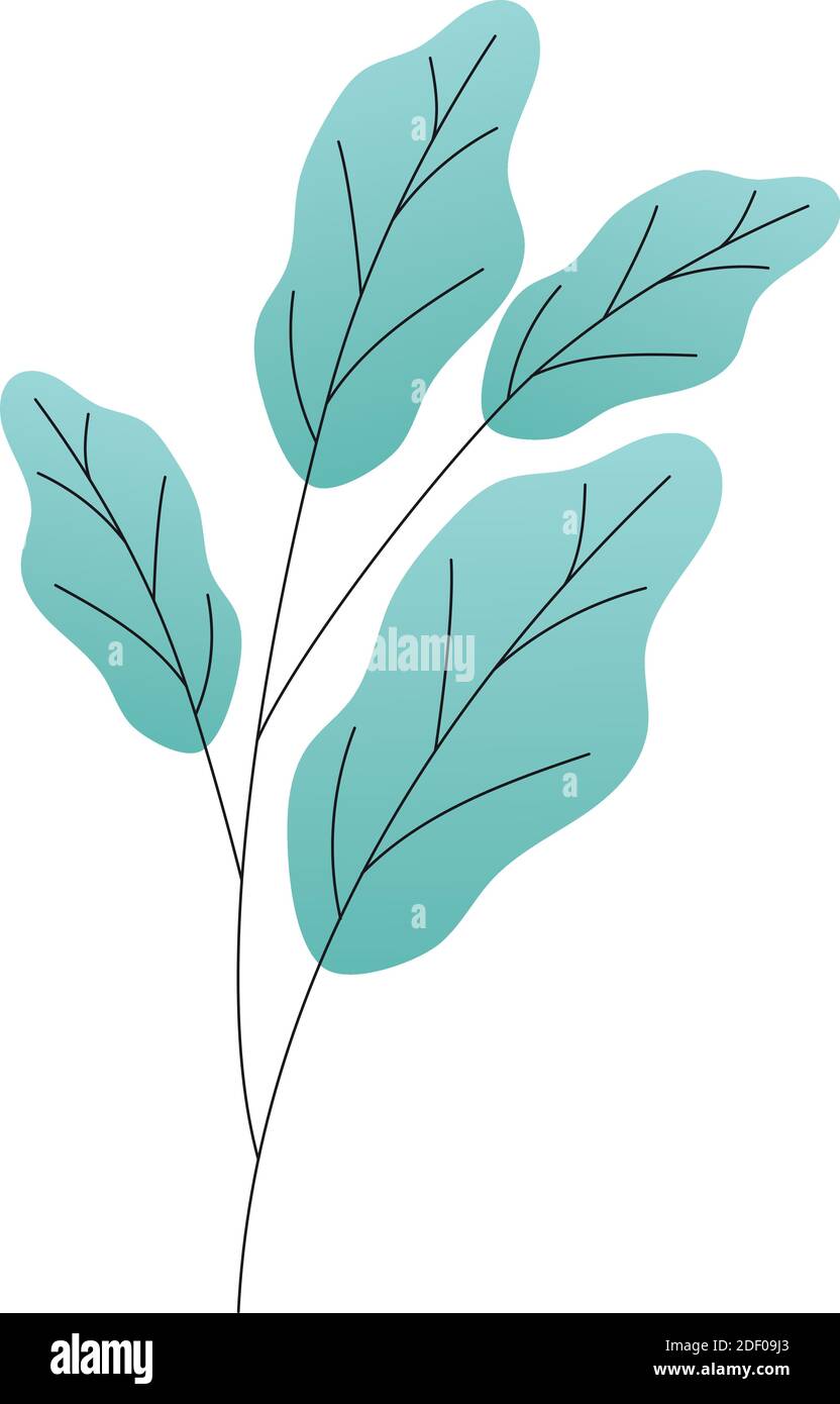 Blätter verschiedener Art von Grün auf weißem Hintergrund Stock Vektor