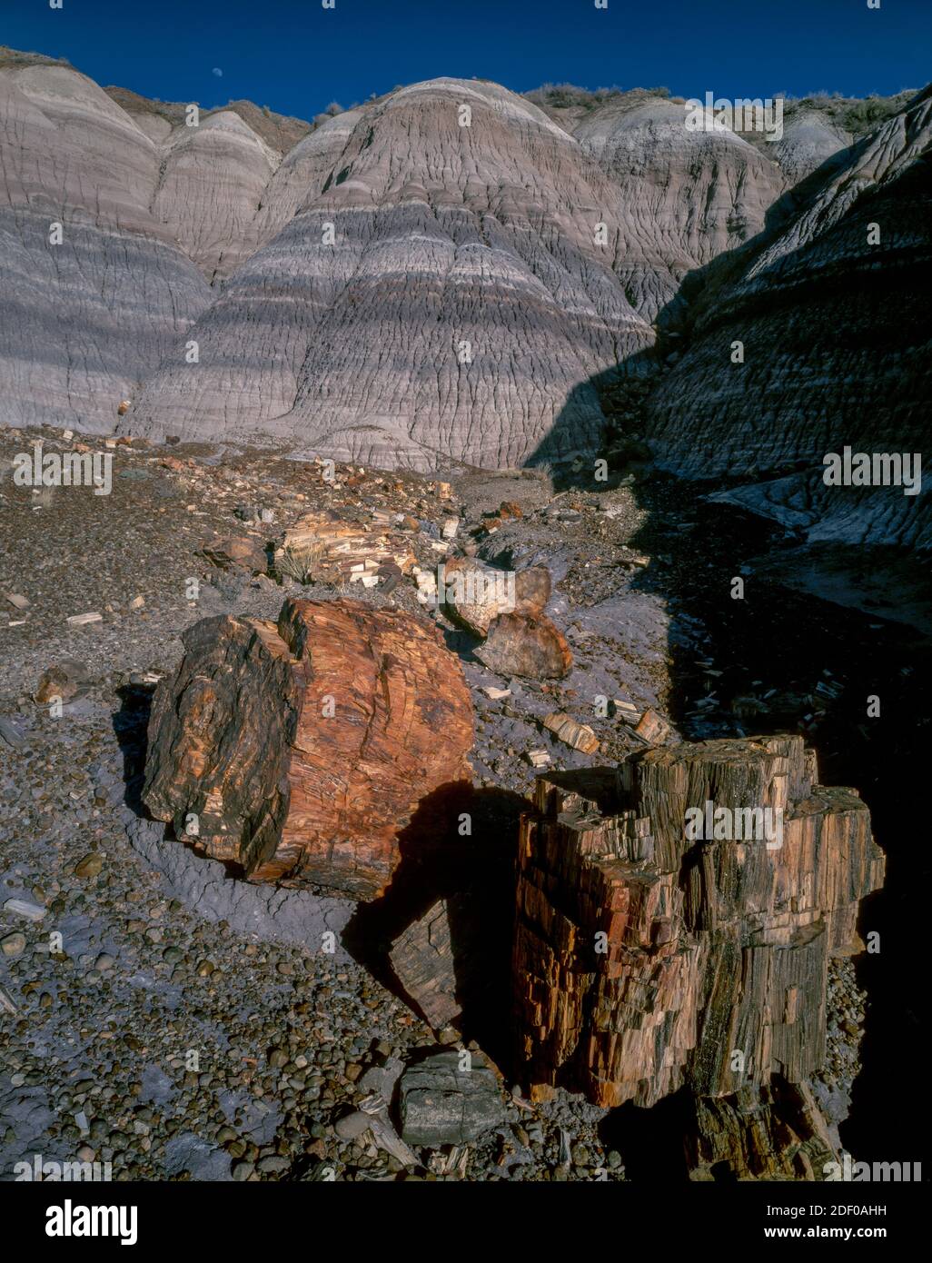 Versteinertes Holz, Blue Mesa, Petrified Forest National Park, Arizona Stockfoto