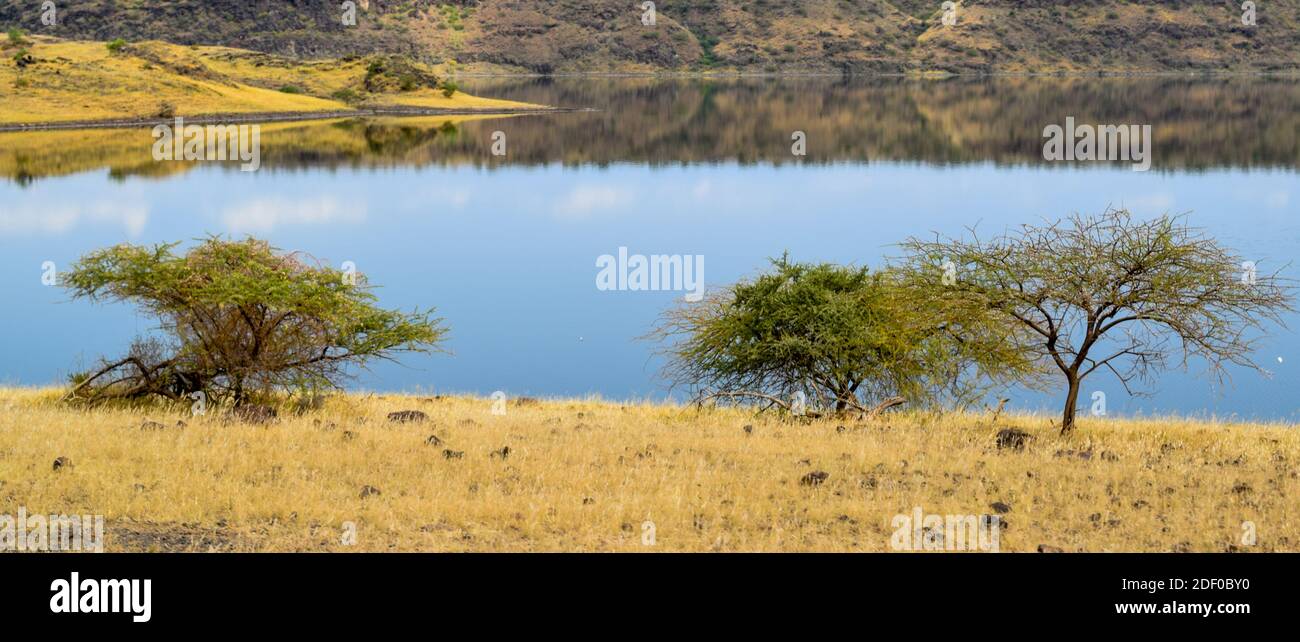 Landschaftlich reizvolle, trockene Landschaften am Lake Magadi, Kenia Stockfoto