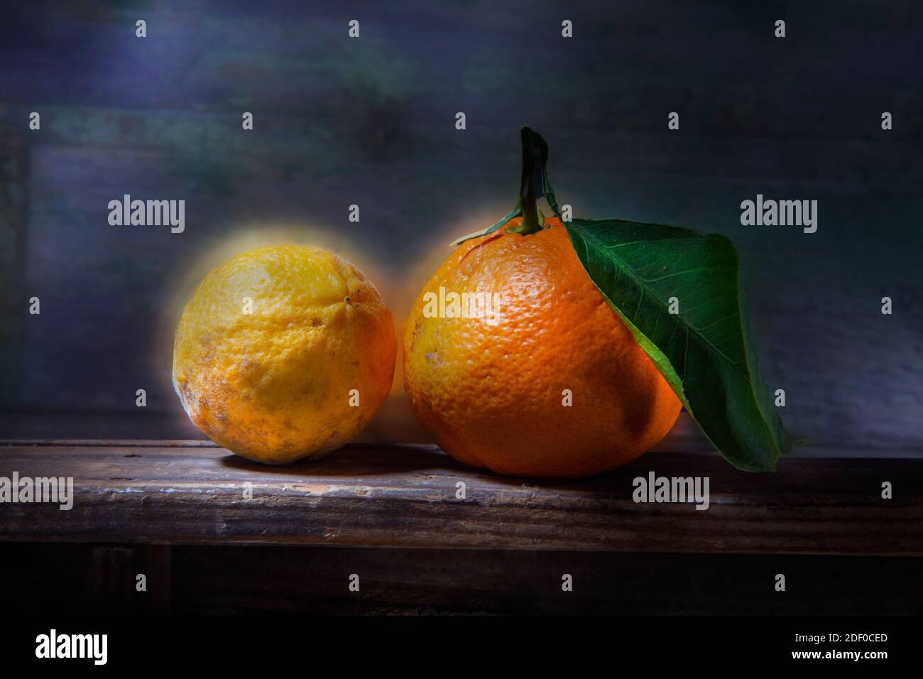 Makro-Foto Ausgearbeitet. Fliegender Drache in Latein als Poncirus Trifoliata und Tangerine bekannt. Am Rand auf Holzregal. Mit heller Bürste ausgearbeitet. Stockfoto