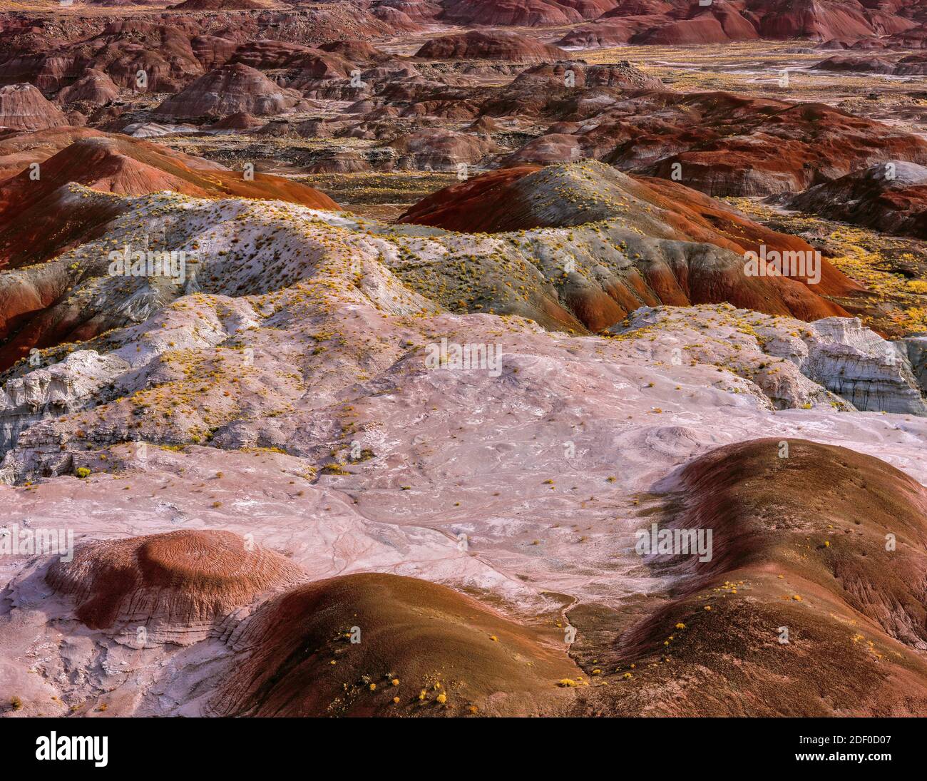 Painted Desert, Petrified Forest National Park, Arizona Stockfoto