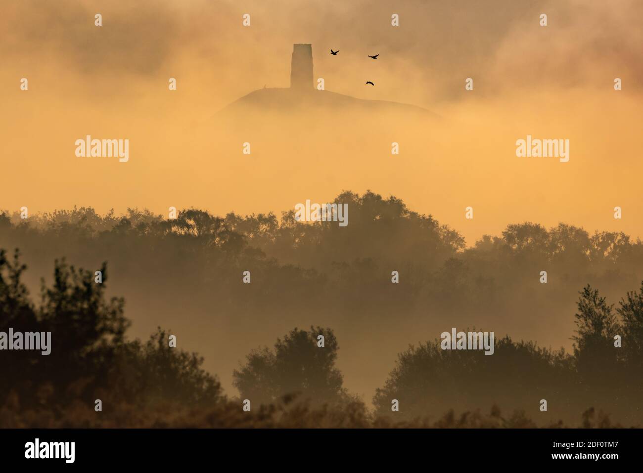 Herbst-Tagundnachtgleiche: Frühmorgendliches Licht und Nebel über dem Glastonbury Tor in Somerset vom Avalon-Sumpfgebiet aus gesehen am letzten Tag vor dem offiziellen Ende des Sommers. Stockfoto