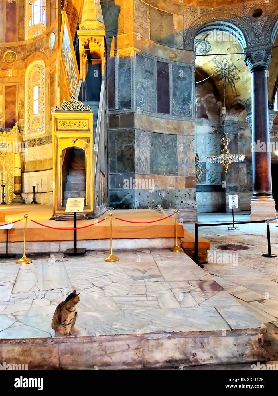 Hagia Sophia Museum und Katze Gli., byzantinische Architektur, berühmte Wahrzeichen und architektonische Wunder der Welt Istanbul, Türkei Stockfoto