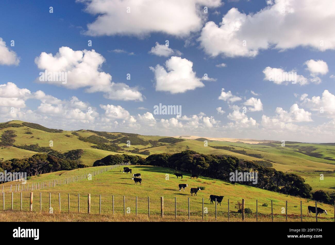 Landschaft in der Nähe von Cape Reinga, Northland Region, Nordinsel, Neuseeland Stockfoto