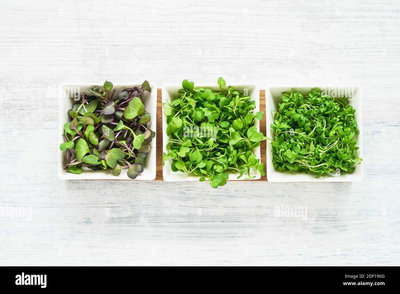 Eine Auswahl an Mikrogrüns auf weißem Hintergrund. Gereimtes Rettich, Senf, Kresse Salatsamen in einer weißen Schüssel. Gesunde Ernährung Konzept, gesunde Lebensweise Stockfoto