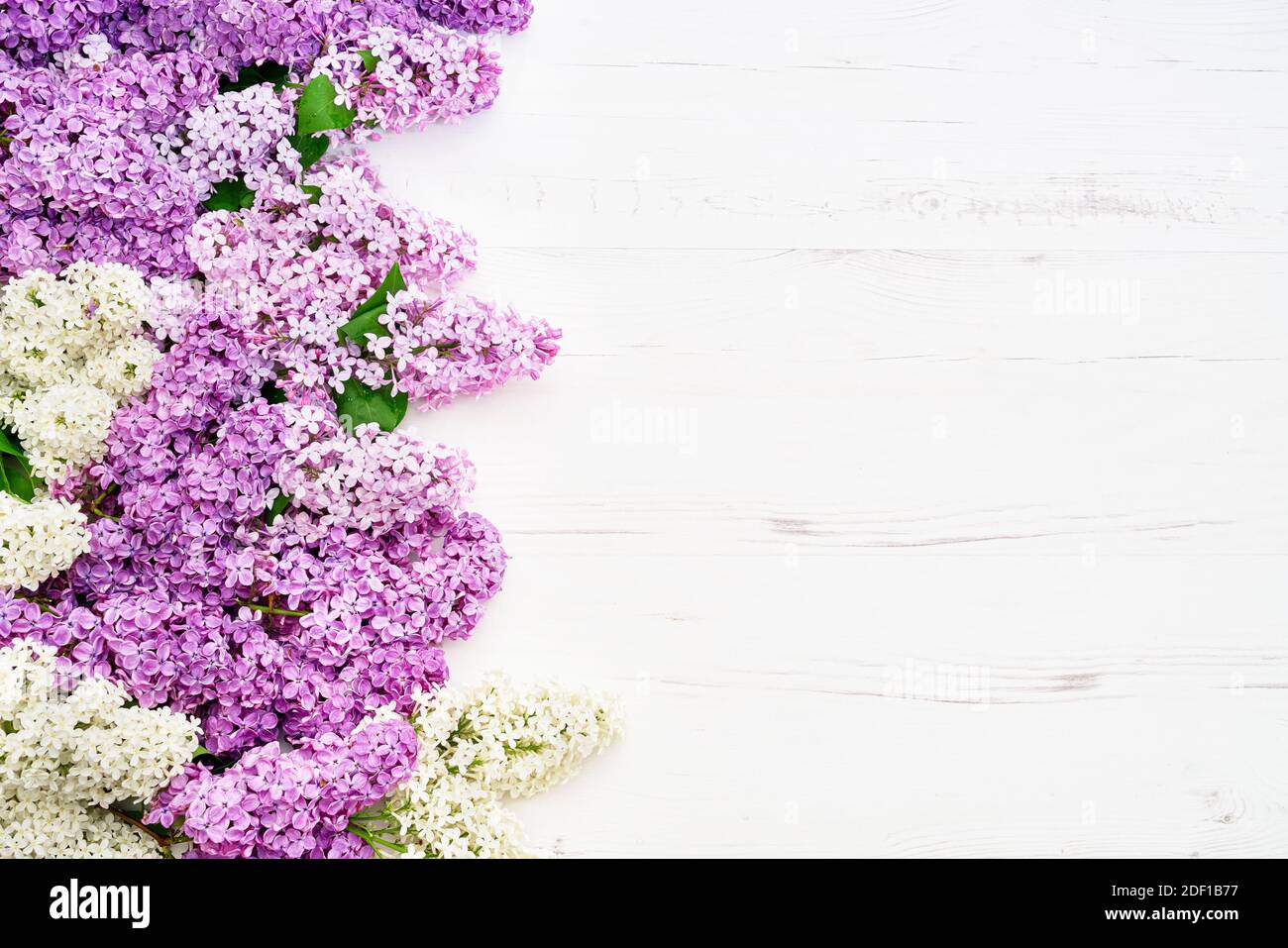 Blumenmuster von rosa Flieder Zweige, Blumen Hintergrund. Flach liegend, Draufsicht. Grußkarte Stockfoto