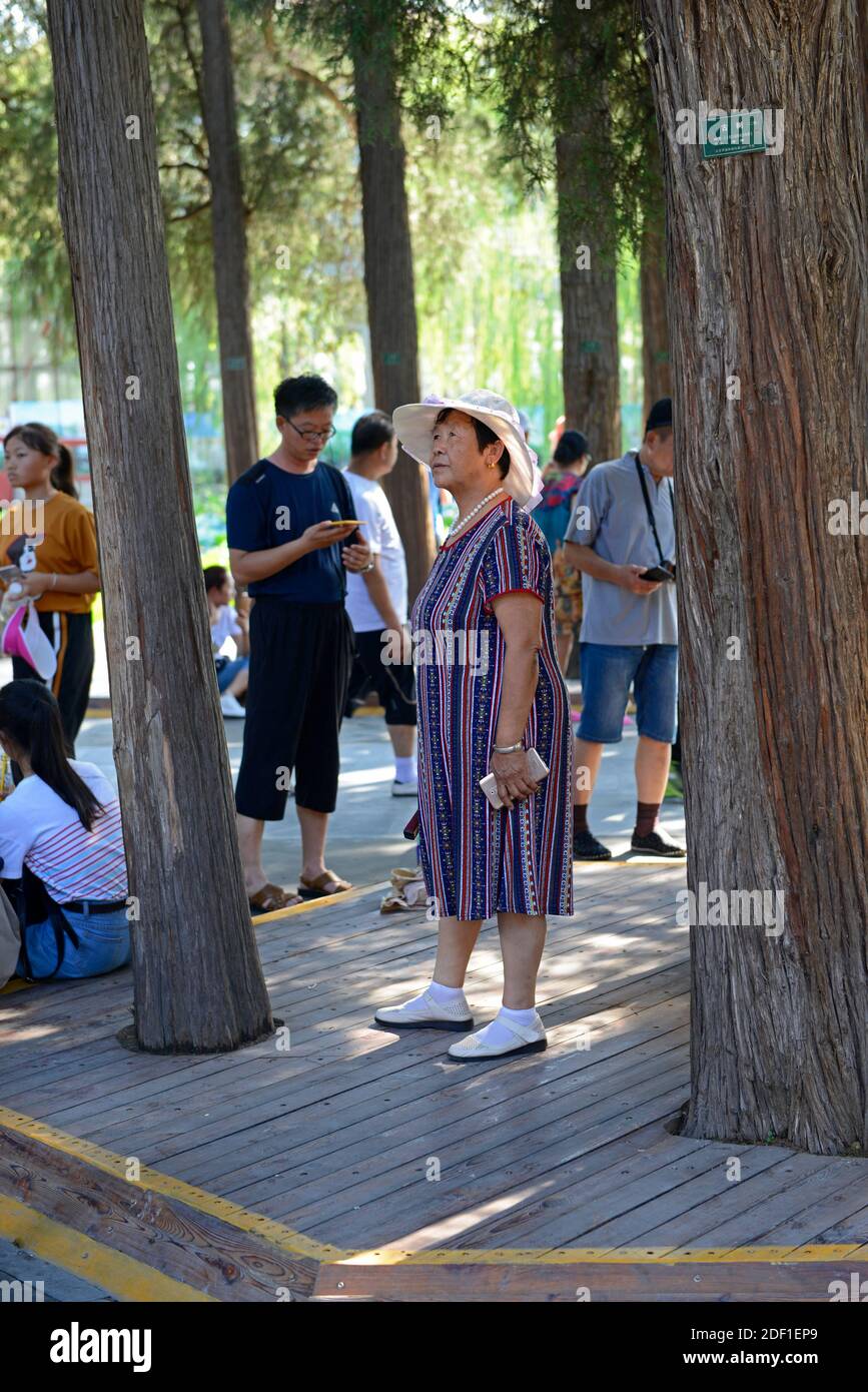 Eine Frau steht im Schatten der Bäume am Sommerpalast in Peking, China Stockfoto