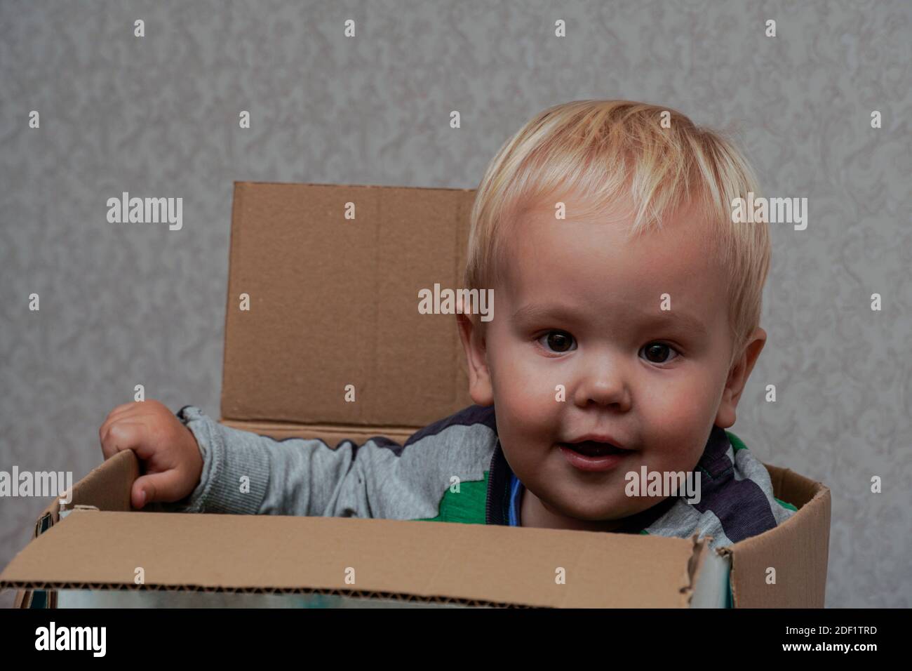 Kleiner Junge mit blonden Haaren sitzt in einer Box. Hohe Qualität Stockfoto