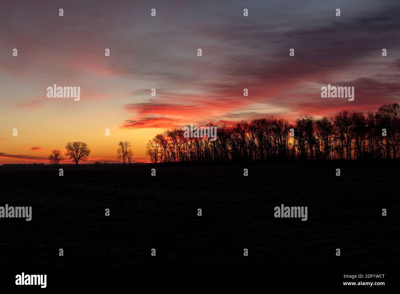 Sonnenaufgang, ländliches Indiana, Spätherbst, Frühwinter, USA, von James D. Coppinger/Dembinsky Photo Assoc Stockfoto