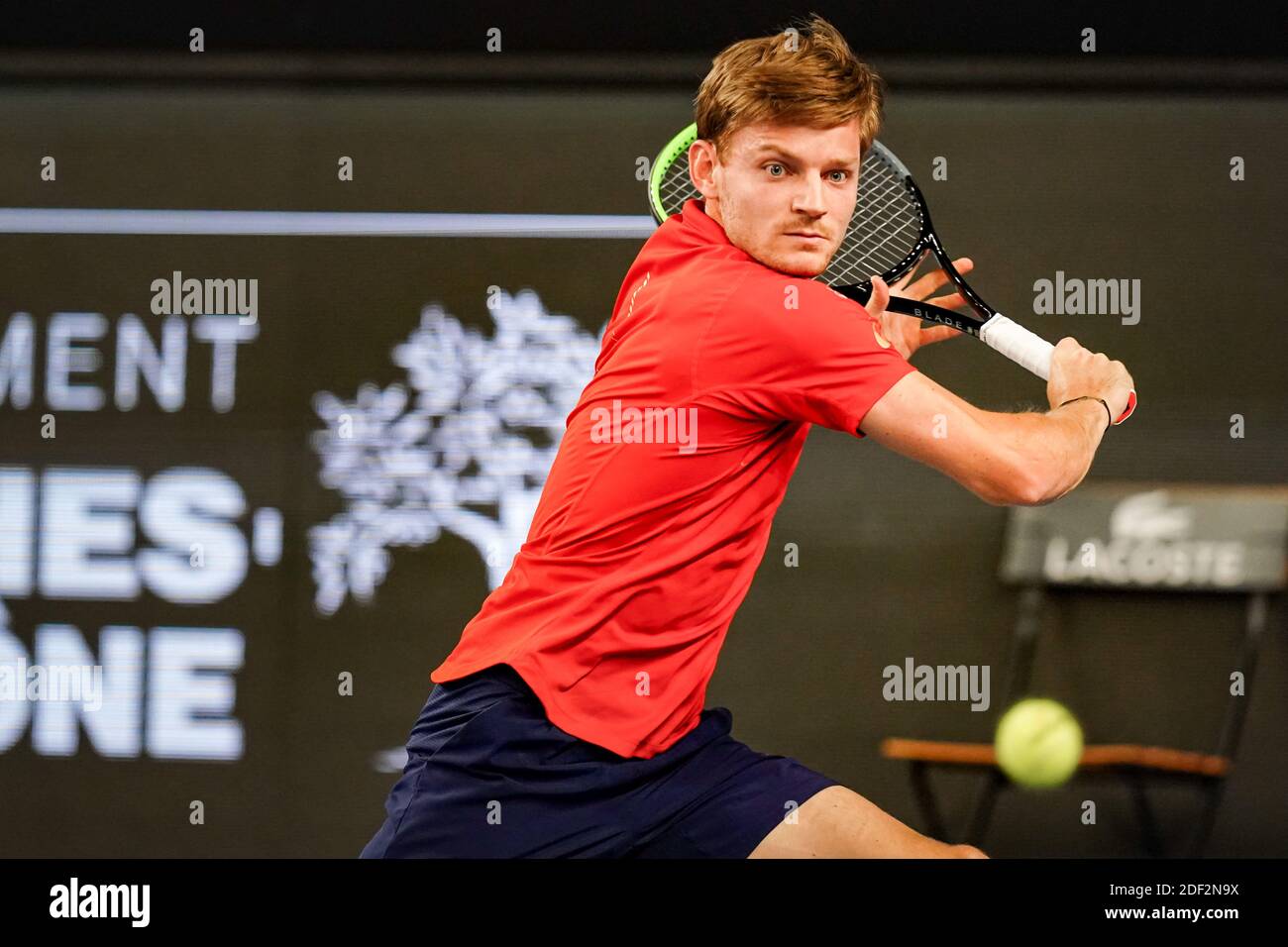 David Goffin (Bel) beim ATP 250-Spiel Open 13 Provence zwischen David Goffin und Egor Gerasimov am 20. Februar 2020 in Marseille, Frankreich. Foto von Julien Poupart/ABACAPRESS.COM Stockfoto