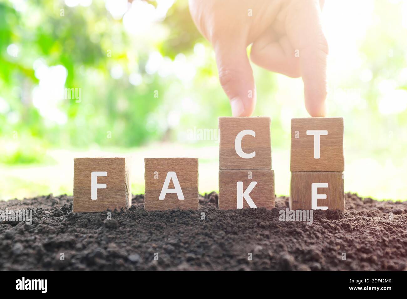 Fake News versus Fakten Konzept. Hand ändern gefälschte Holzblöcke zu Wort Tatsache in natürlichen Hintergrund. Stockfoto